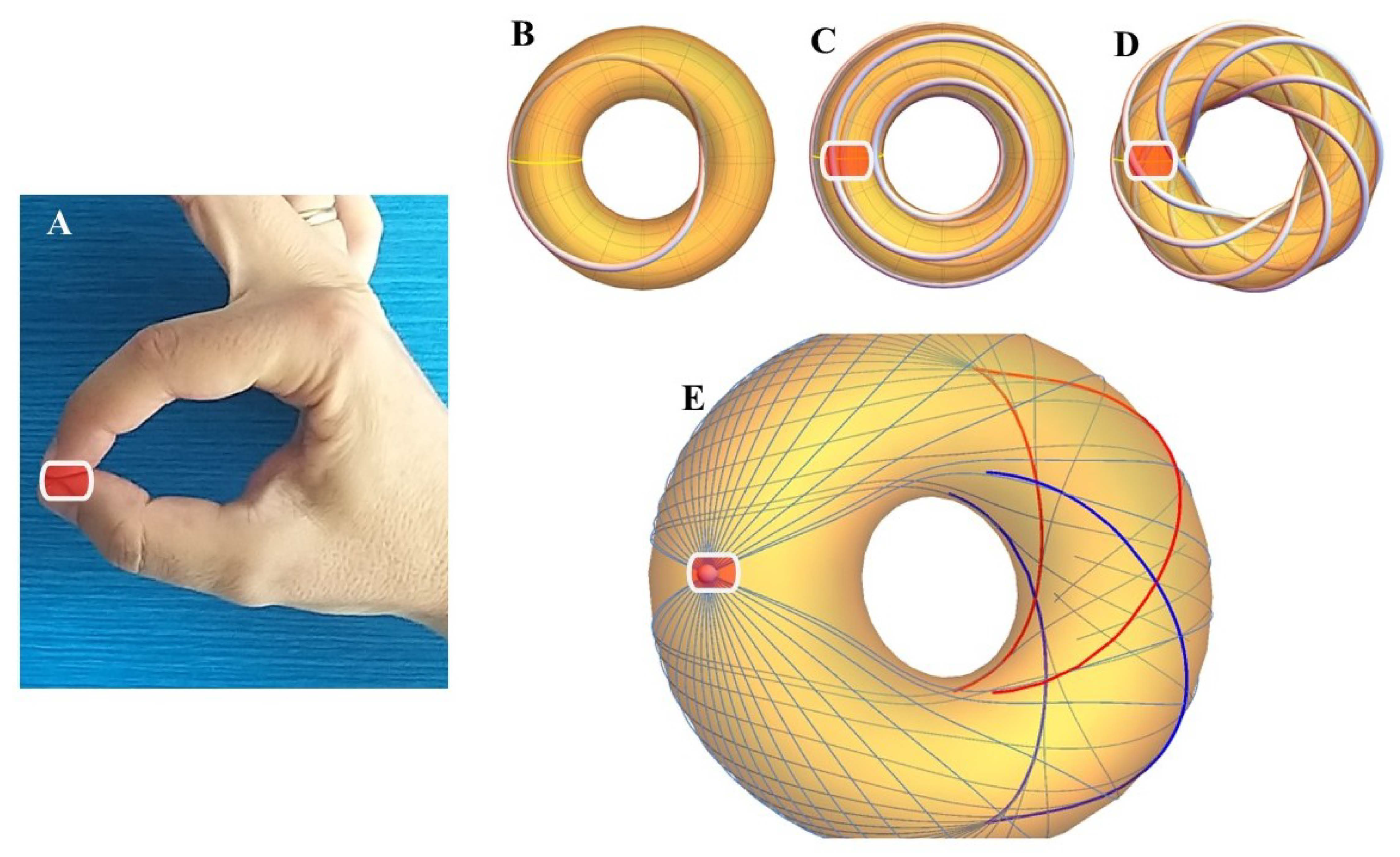 Preprints 120950 g002