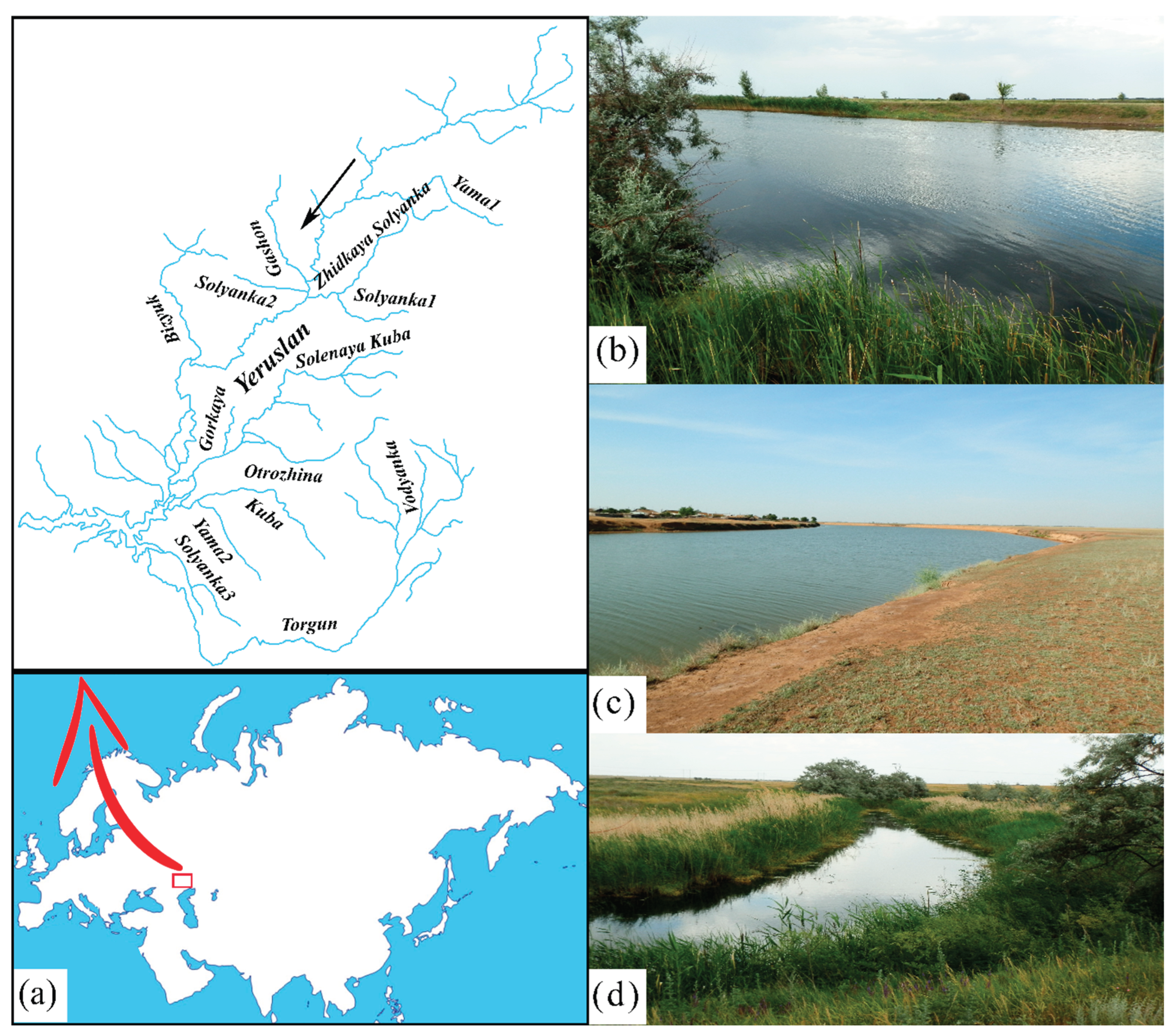 Preprints 191127 g001