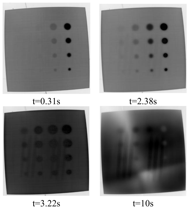 Preprints 217099 g012