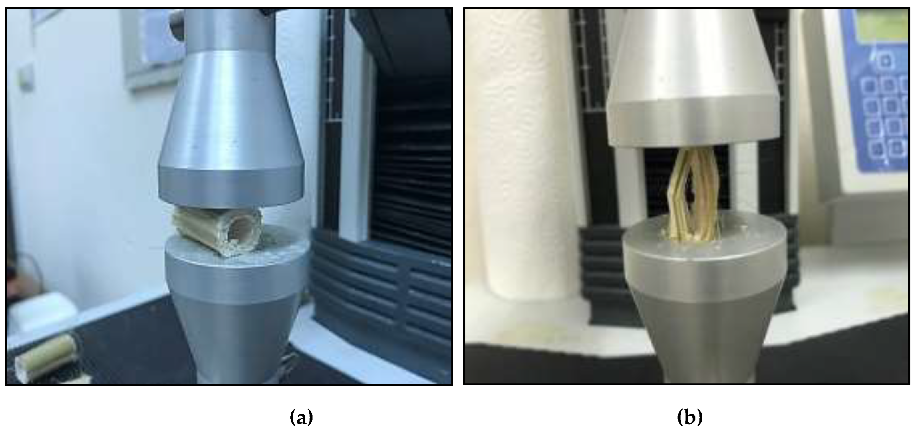 Preprints 148322 g003