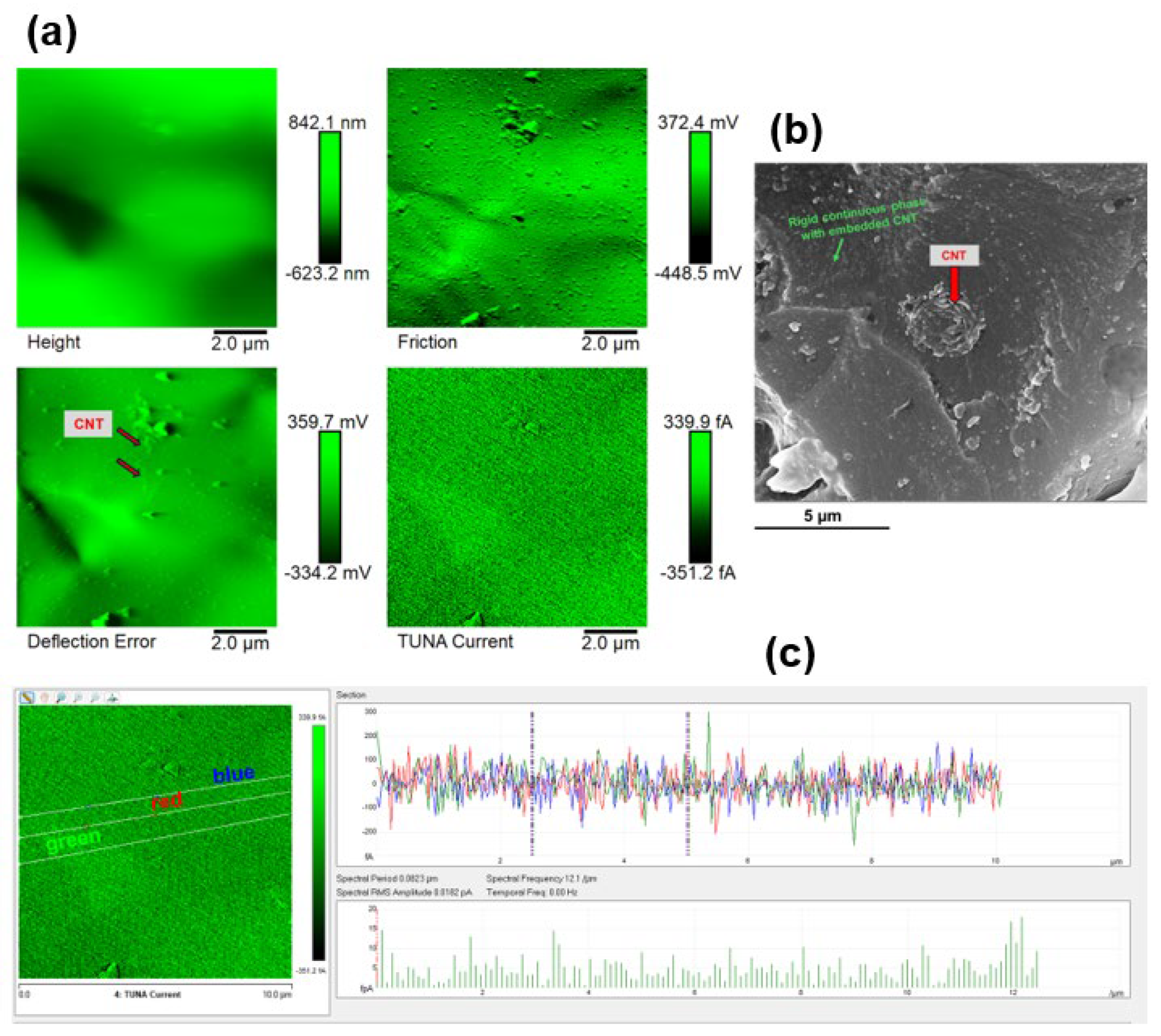 Preprints 154546 g011