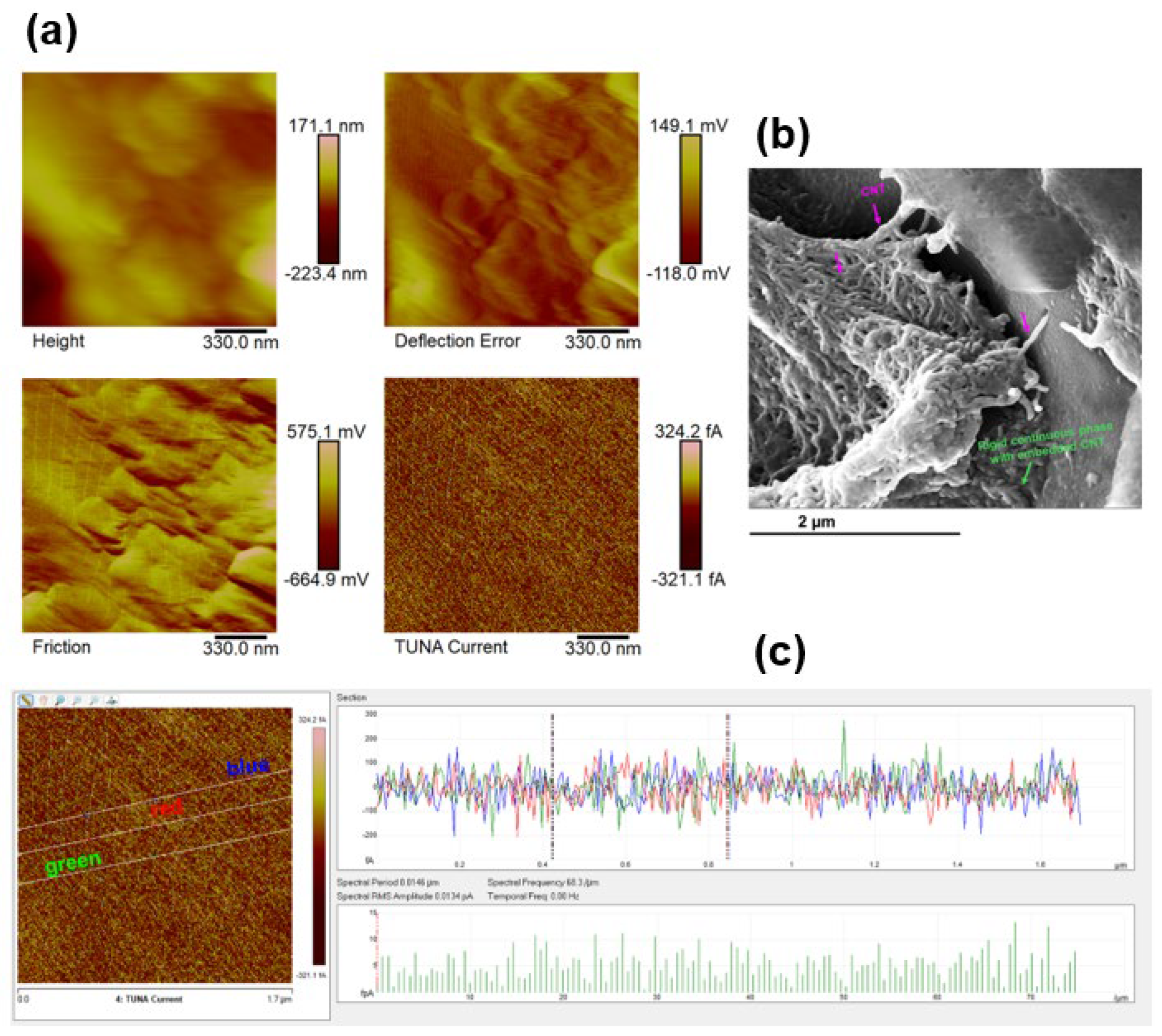 Preprints 154546 g012