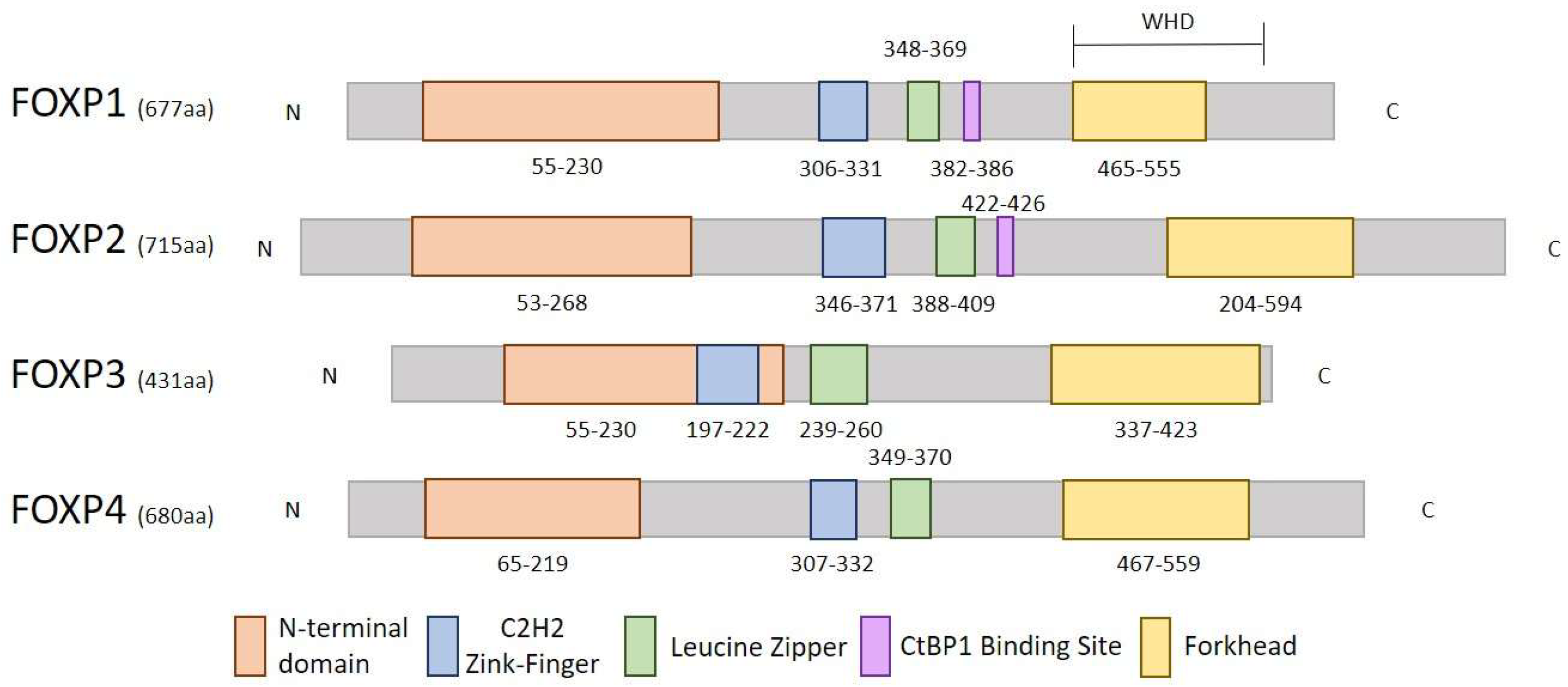 Preprints 206833 g001