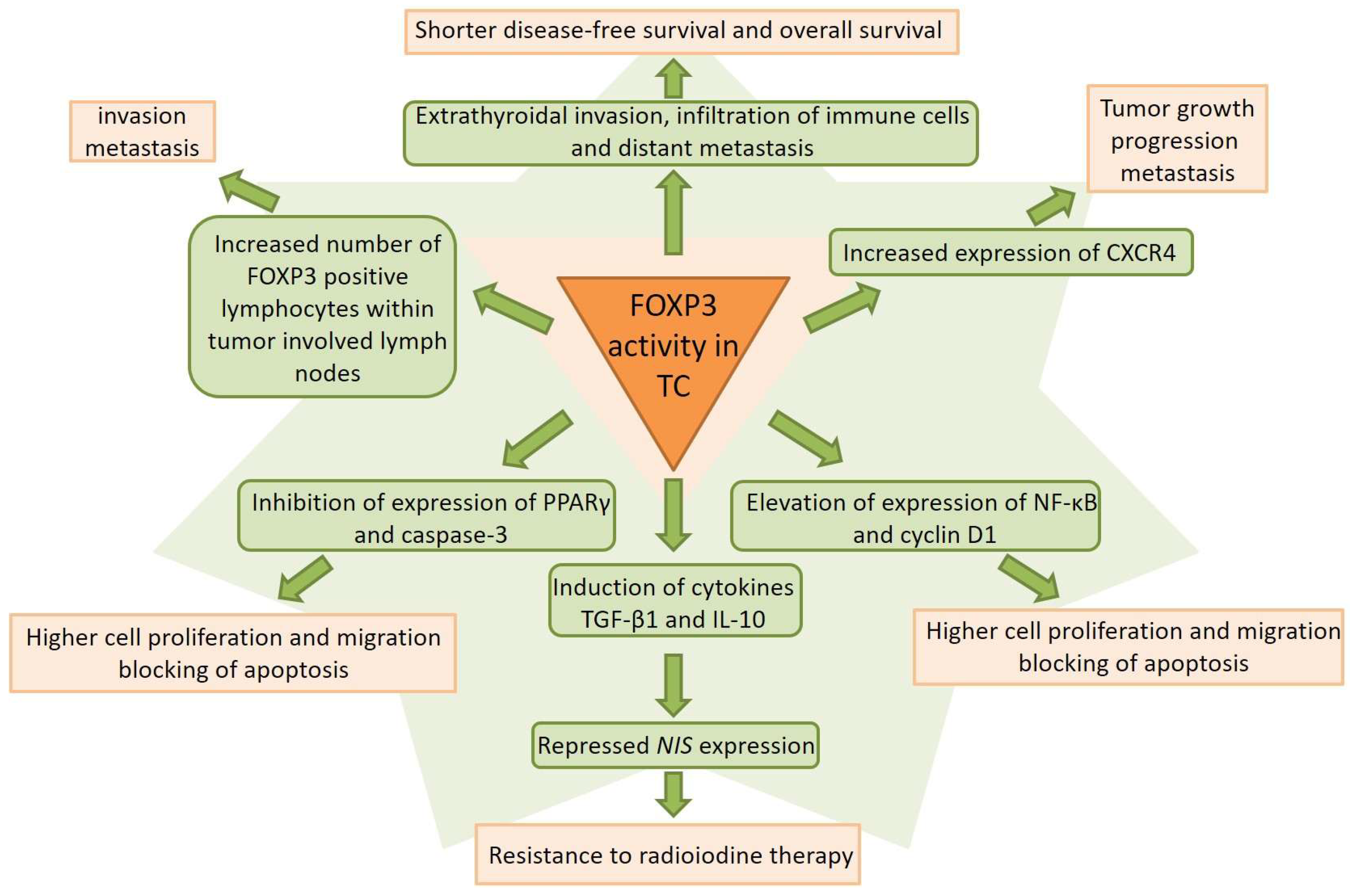 Preprints 206833 g002