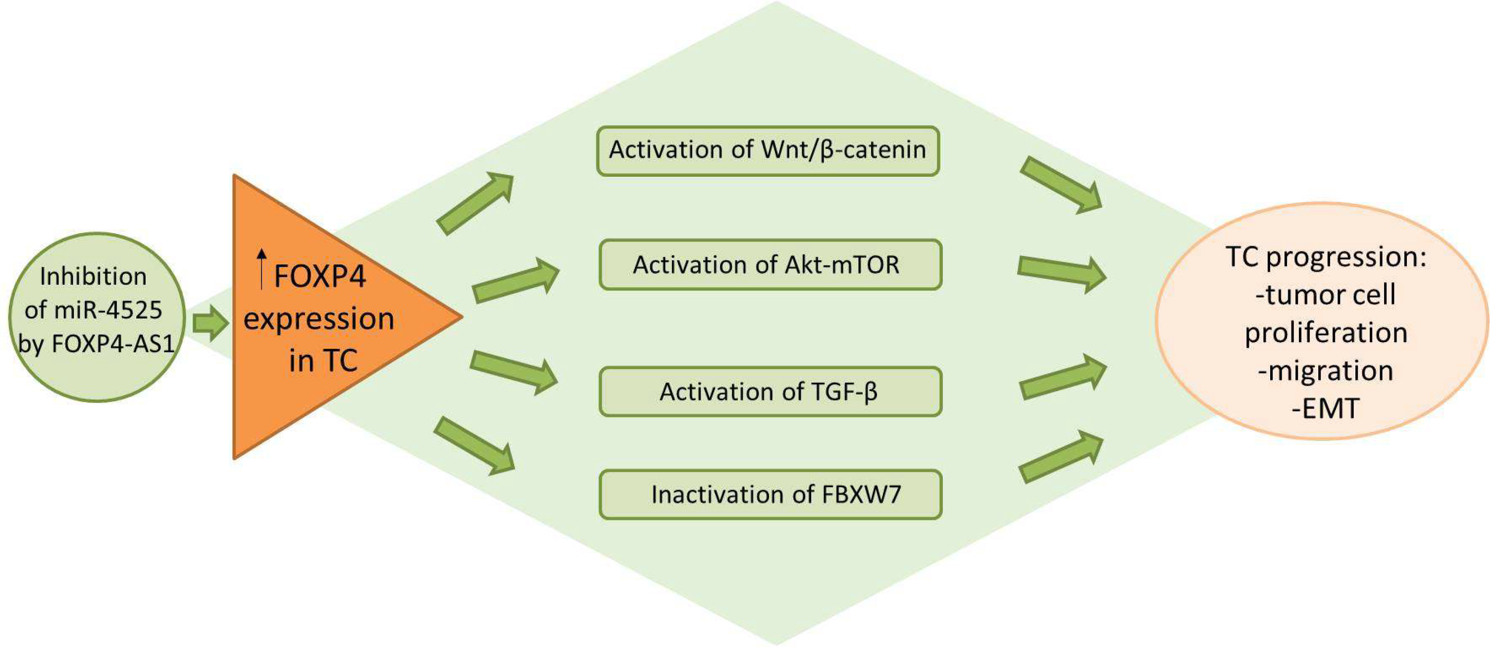 Preprints 206833 g003