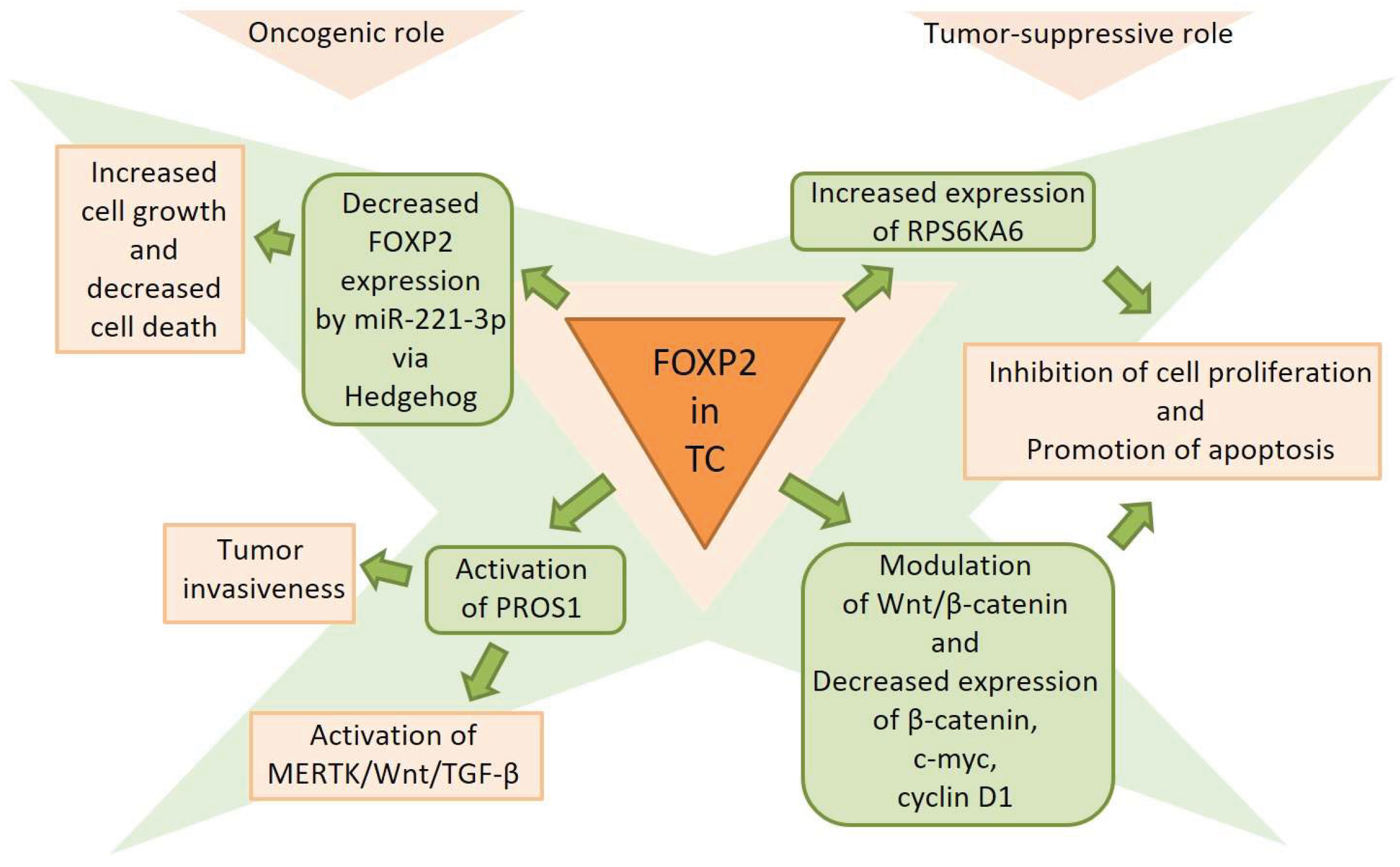 Preprints 206833 g004