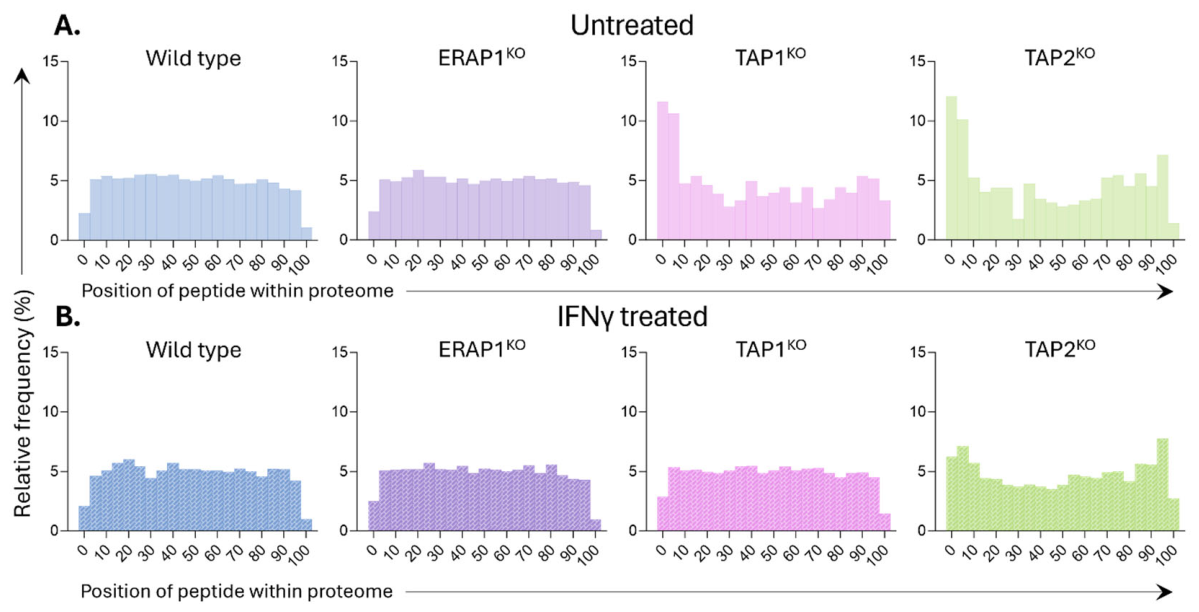 Preprints 231259 g006 Preprints 231259 g006