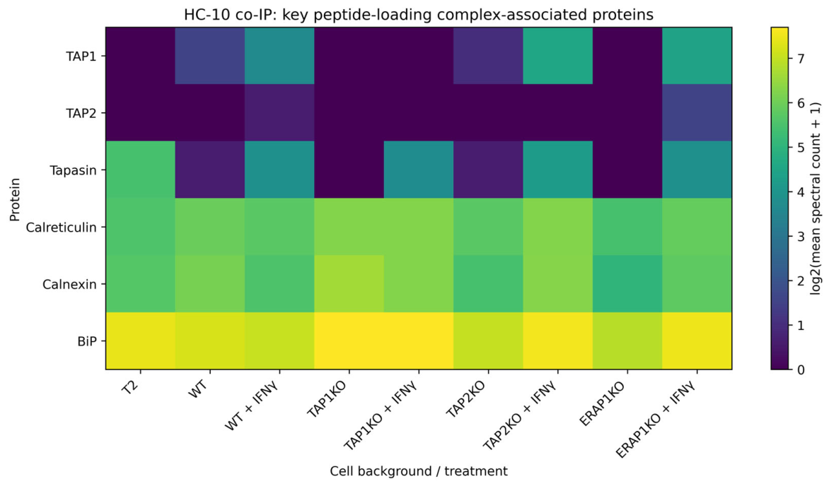 Preprints 231259 g007 Preprints 231259 g007