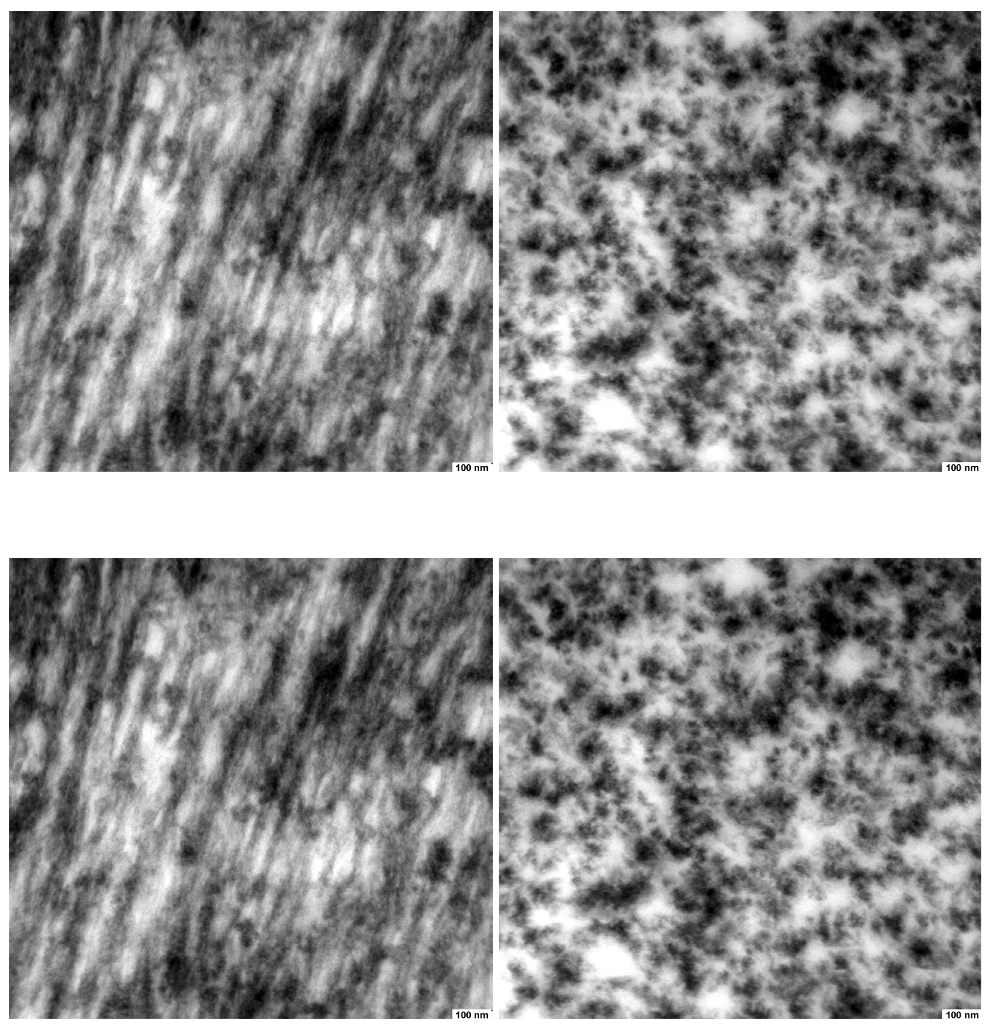 Preprints 175463 g005