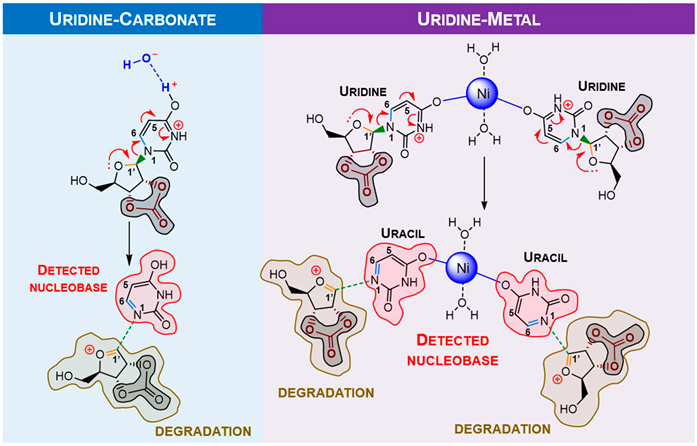 Preprints 88642 i001