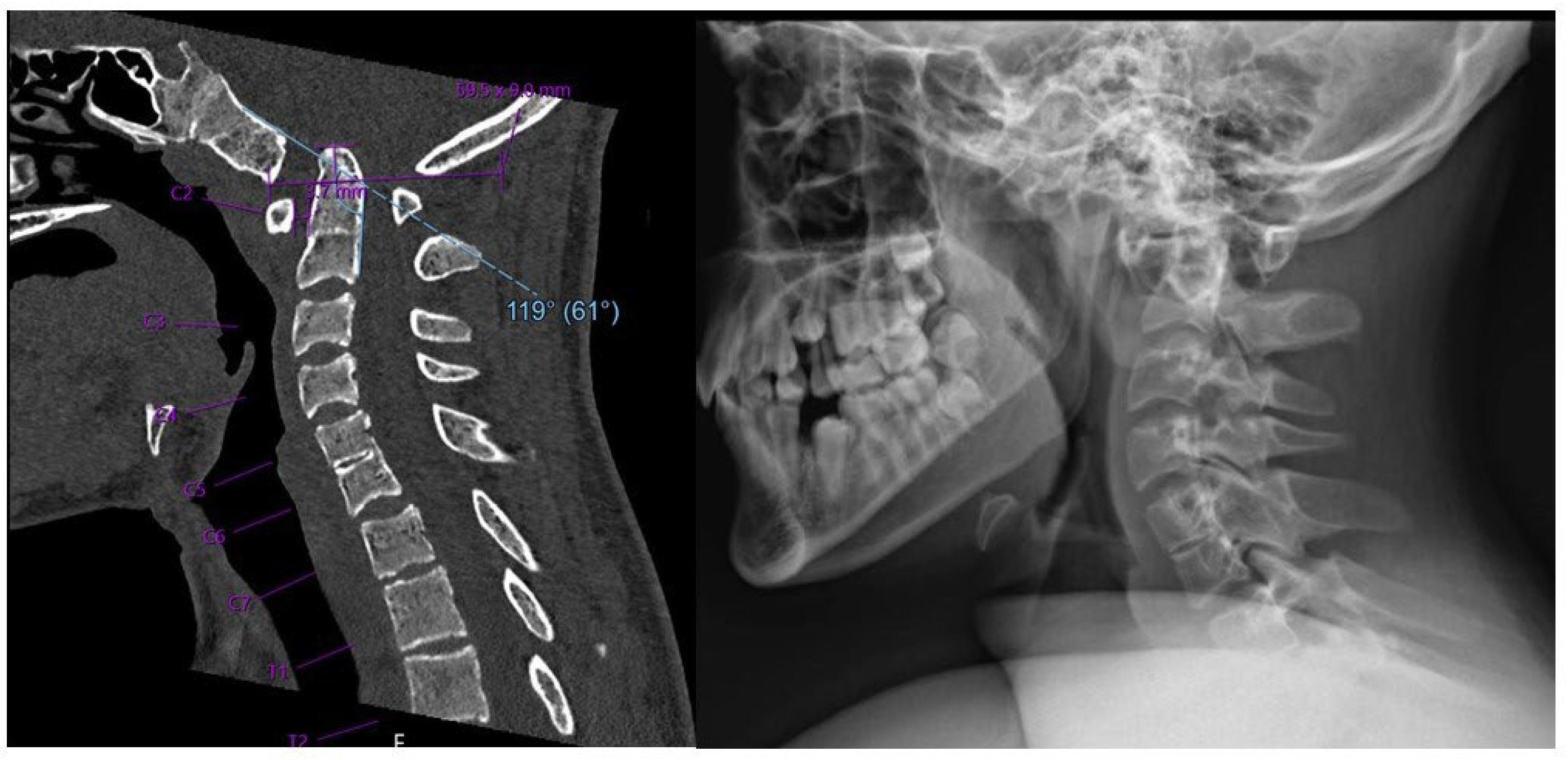 Preprints 157922 g001