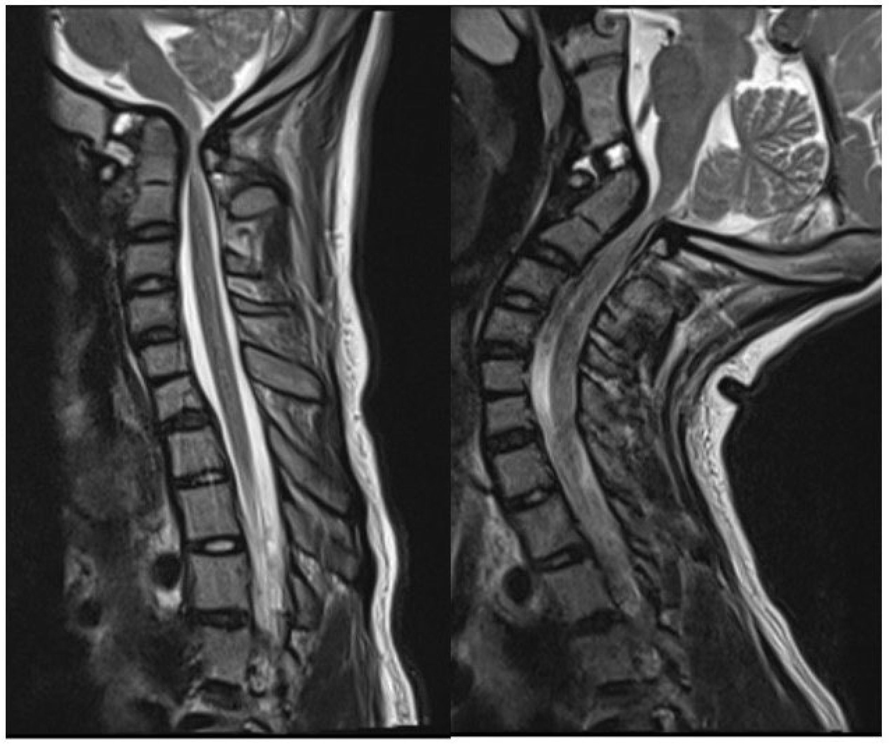 Preprints 157922 g003