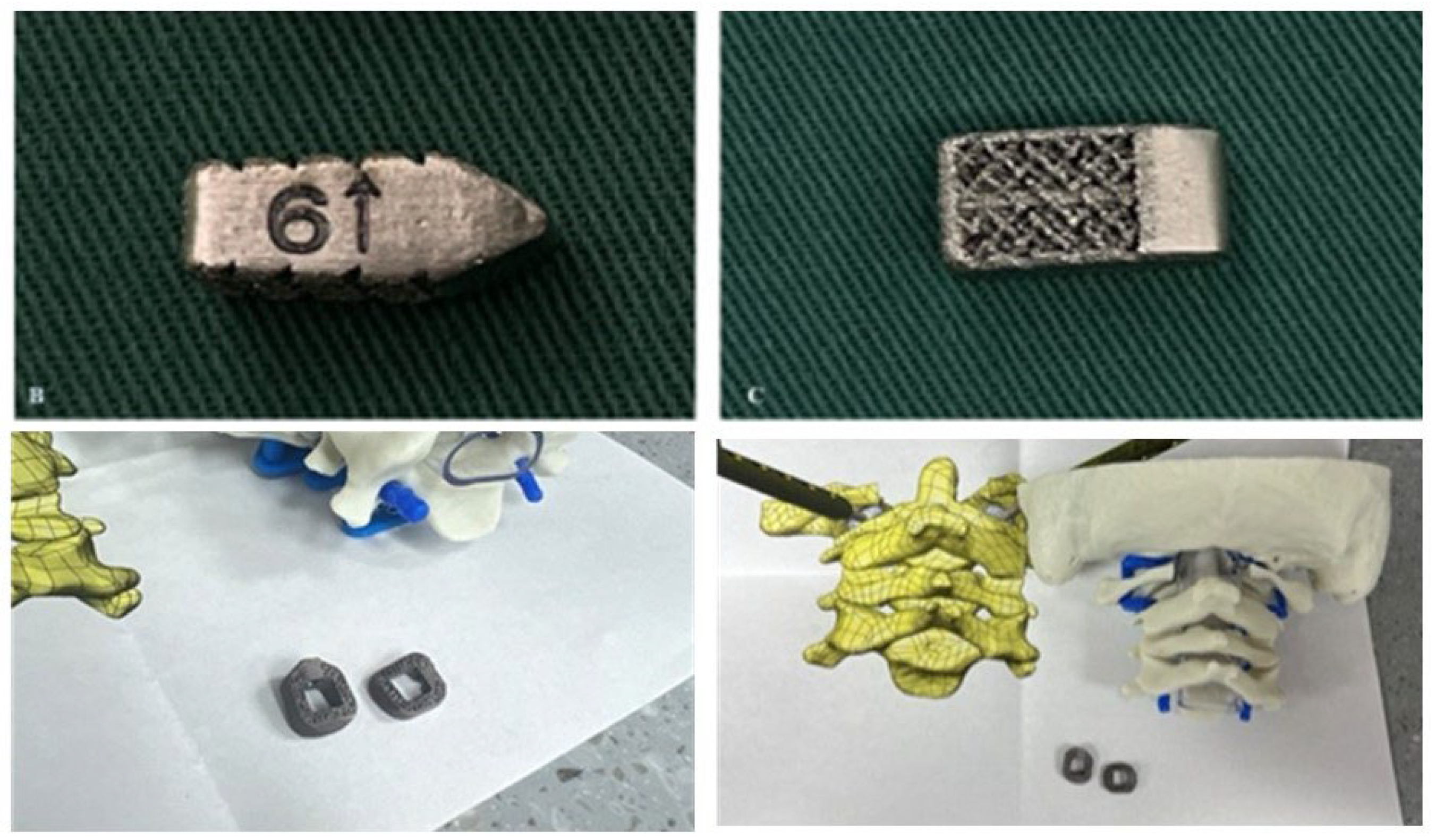 Preprints 157922 g009