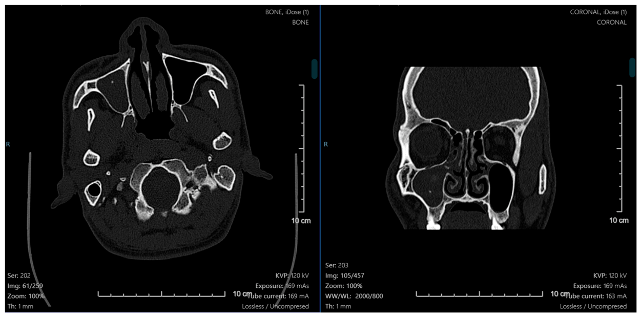 Preprints 233718 g001 Preprints 233718 g001