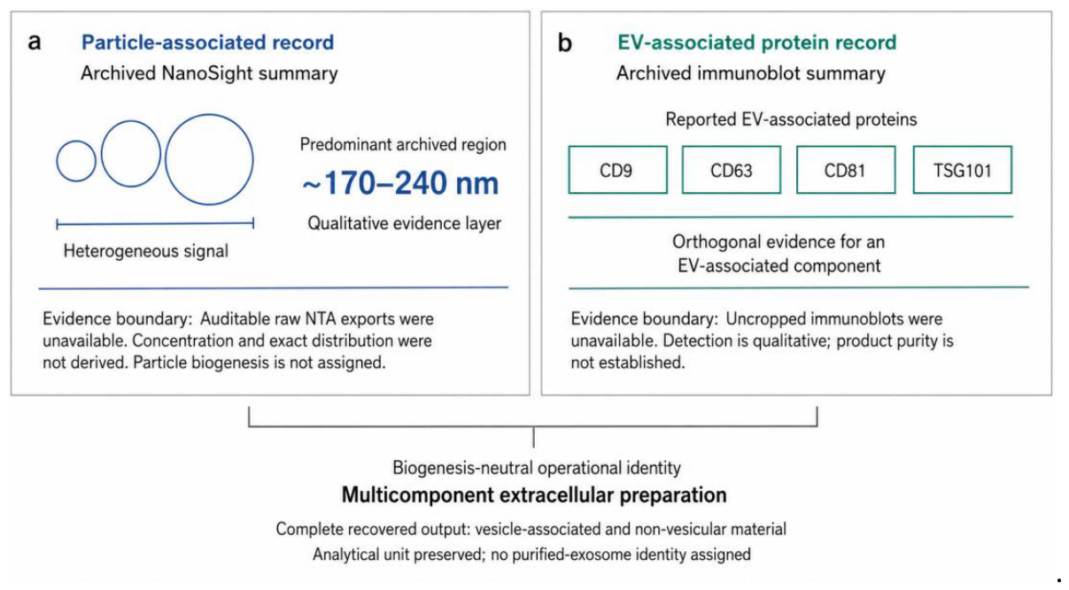 Preprints 227976 g004 Preprints 227976 g004