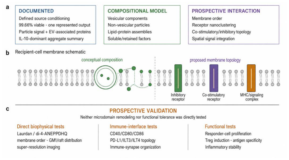 Preprints 227976 g006 Preprints 227976 g006