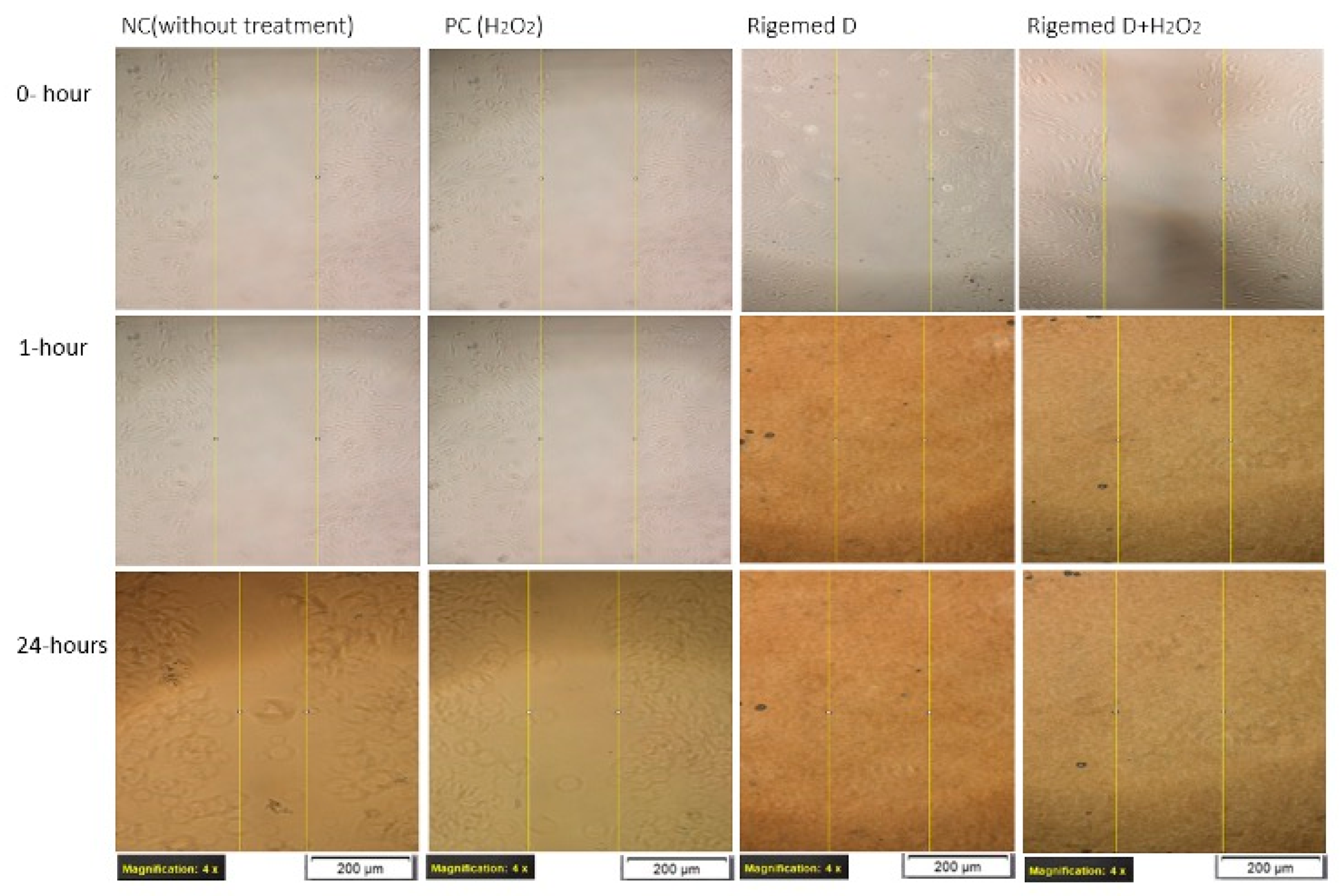 Preprints 97033 g007