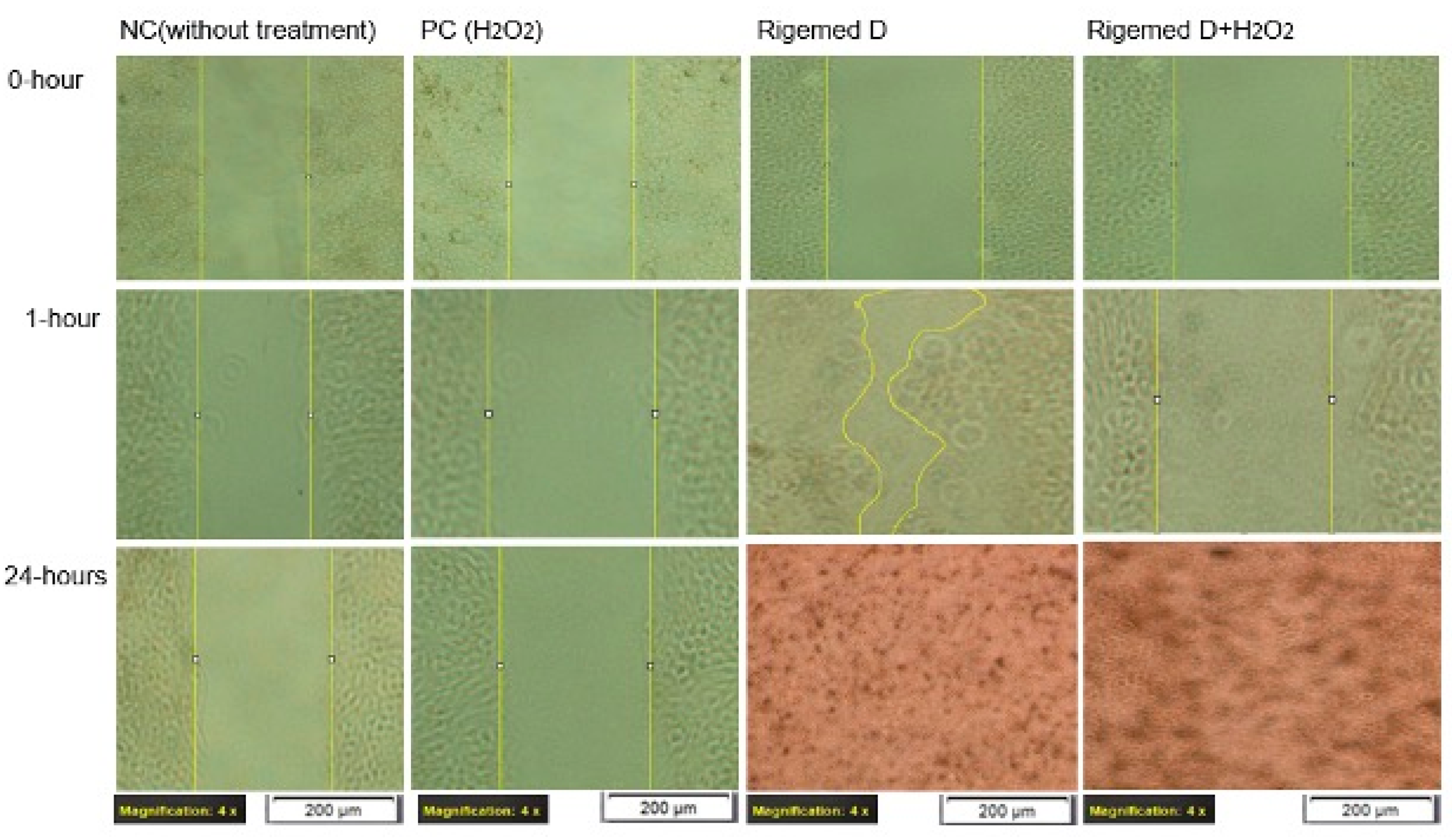 Preprints 97033 g009
