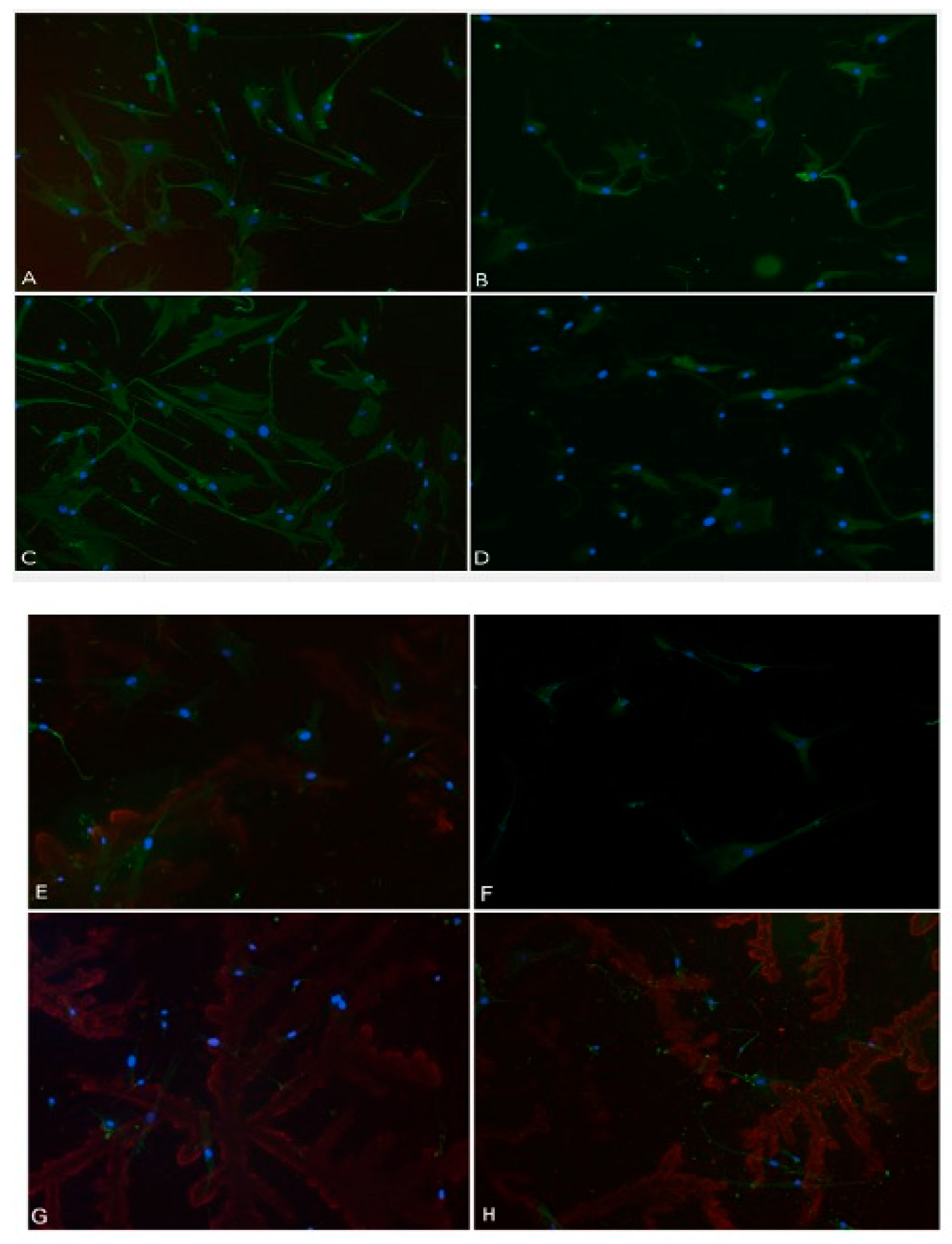 Preprints 97033 g012