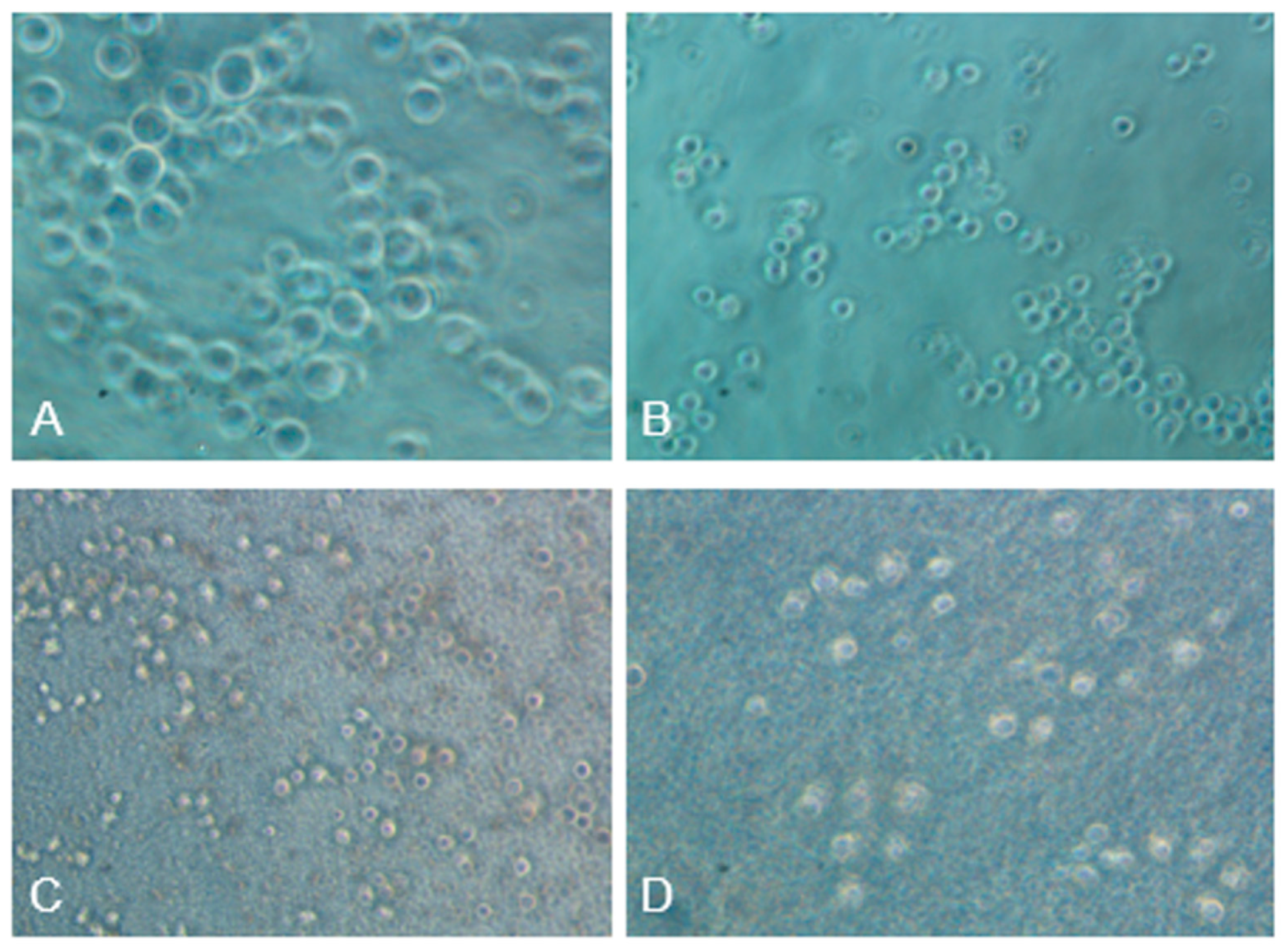 Preprints 97033 g014