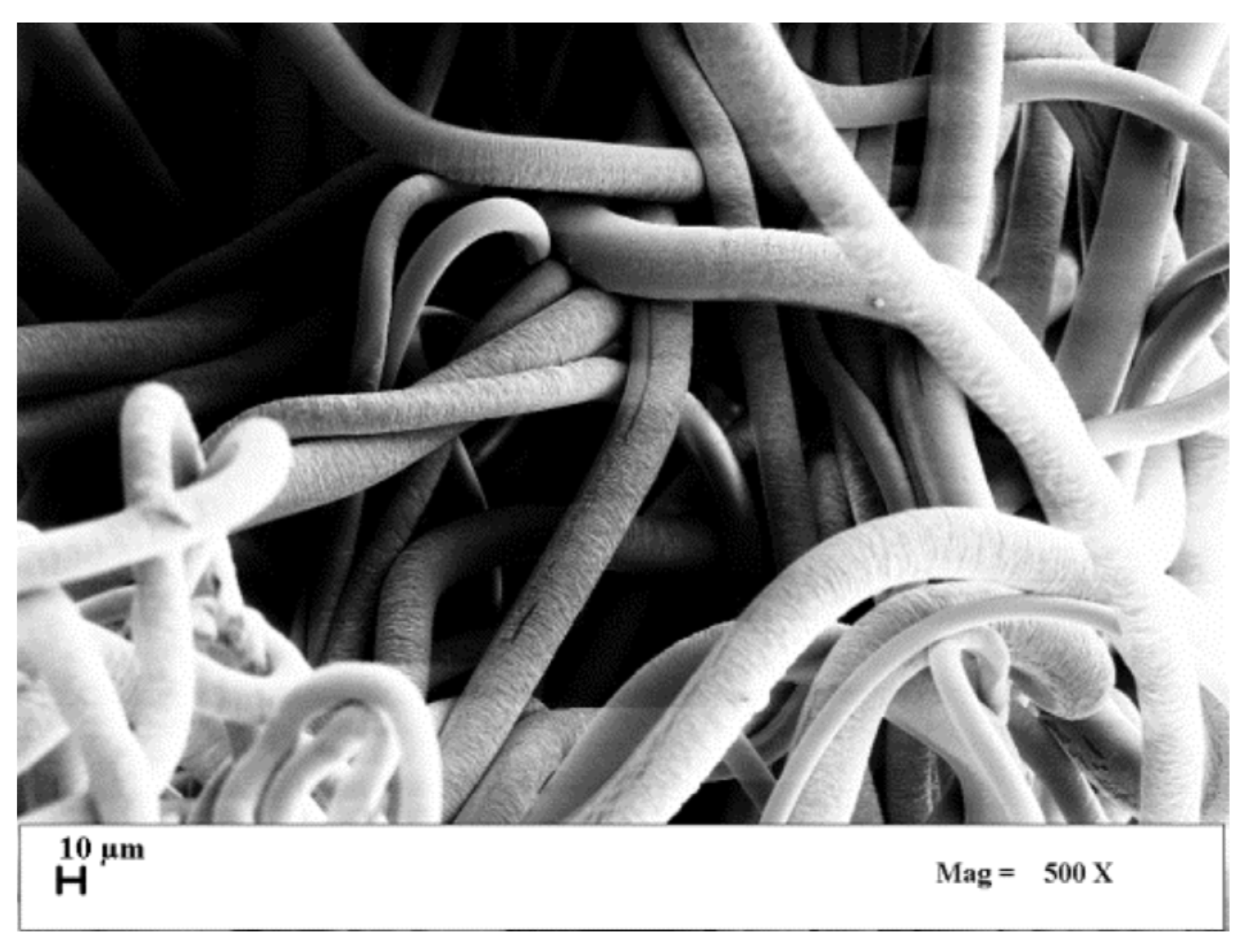 Preprints 188021 g001