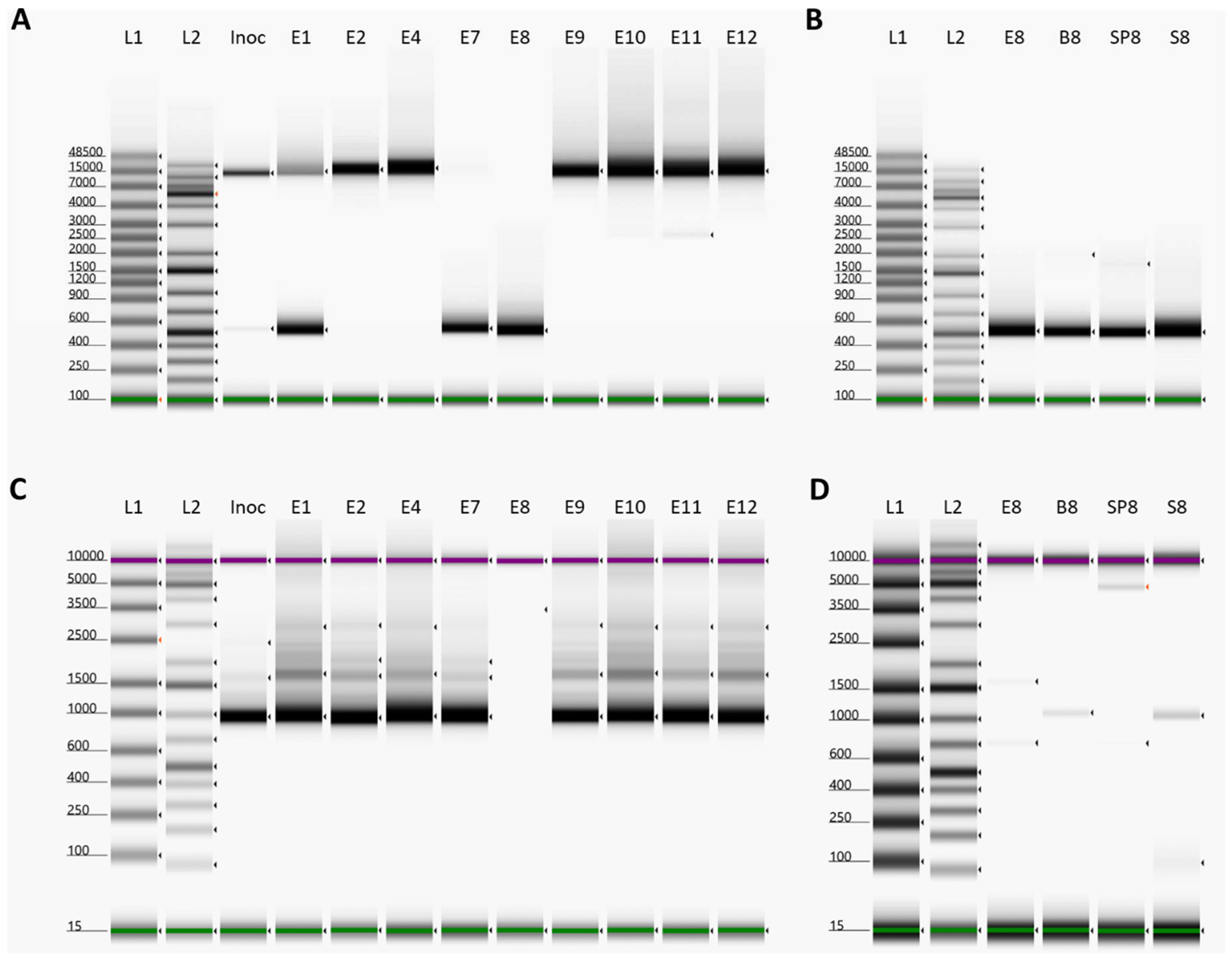 Preprints 93463 g003