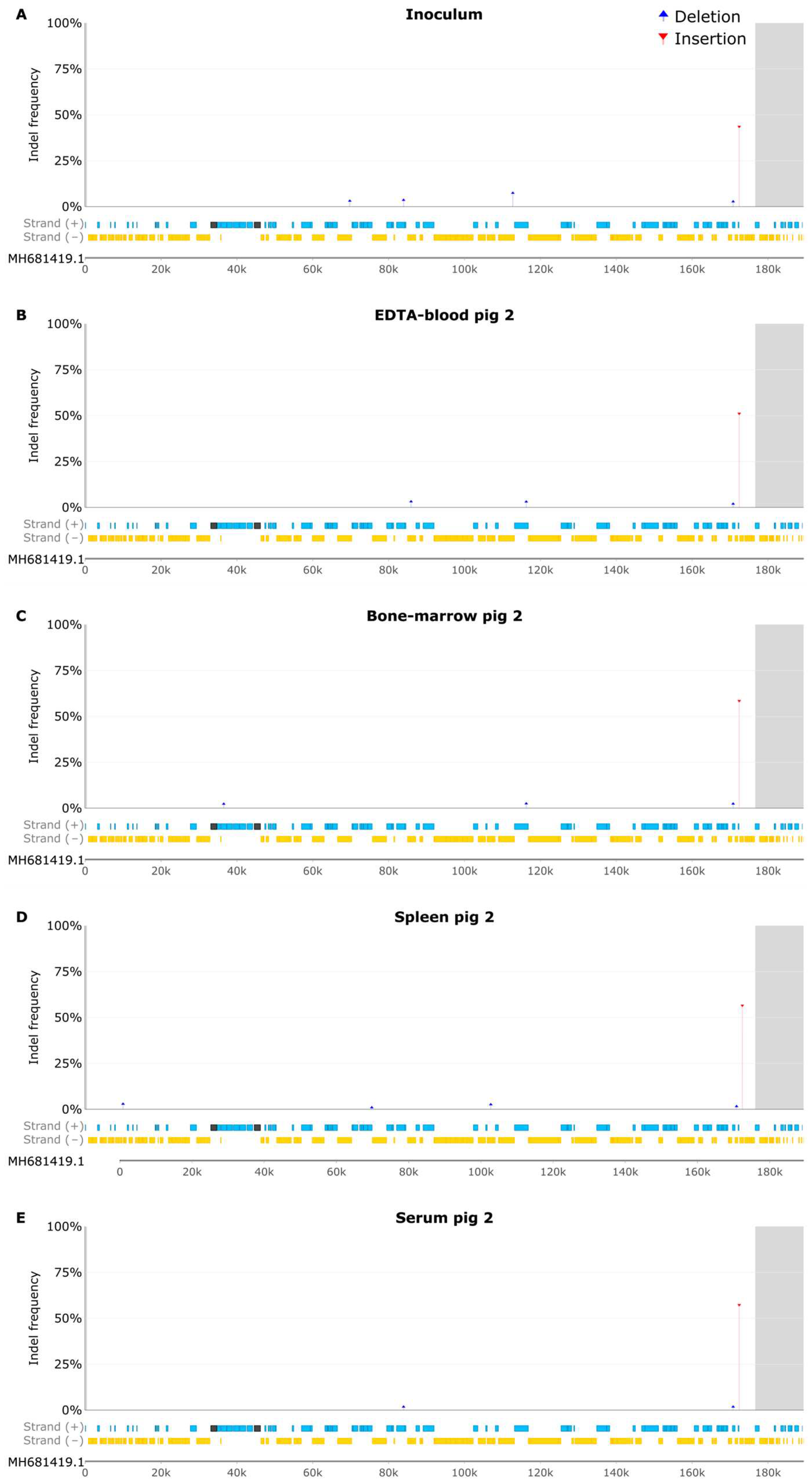 Preprints 93463 g007