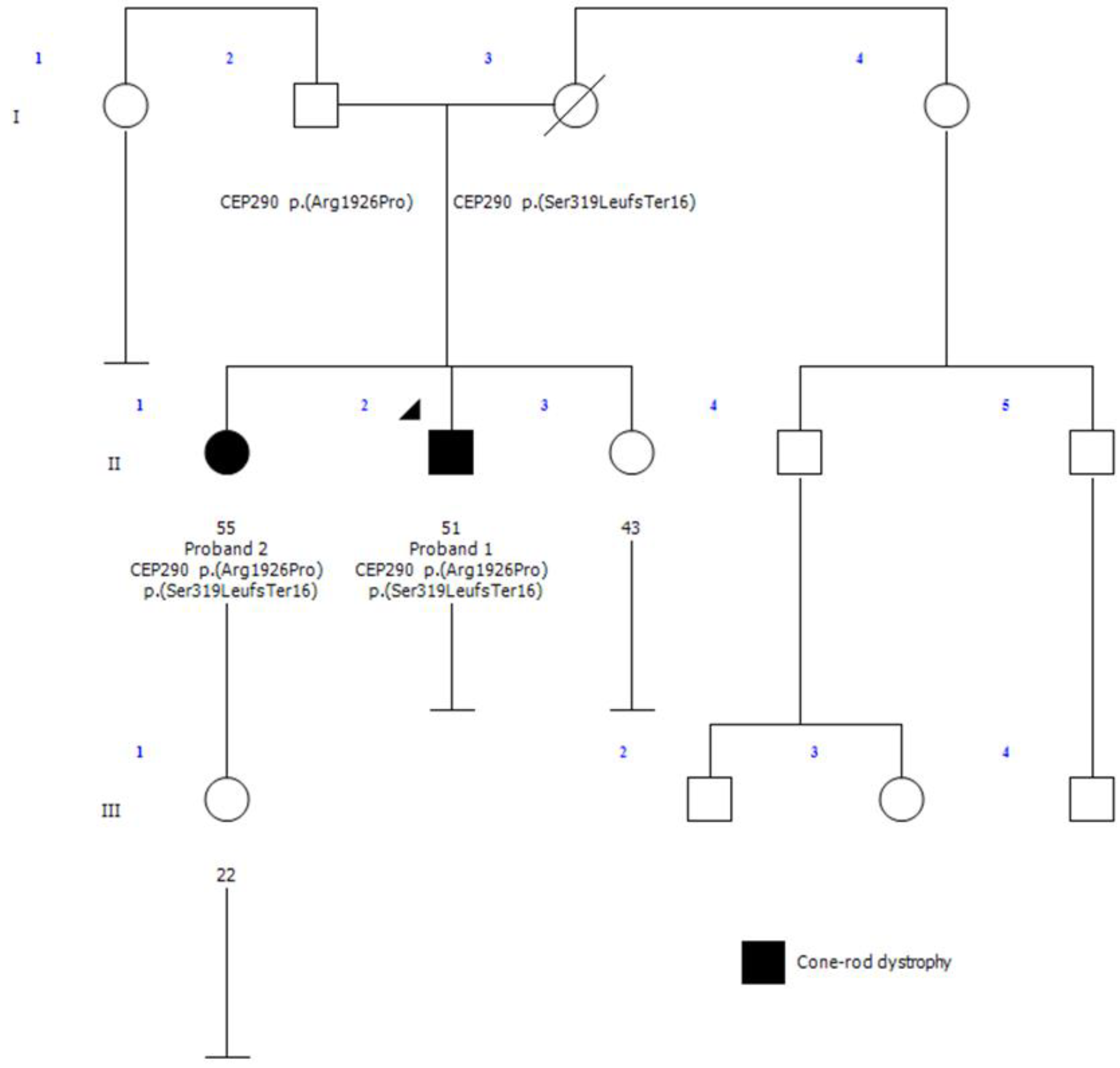 Preprints 137837 g001