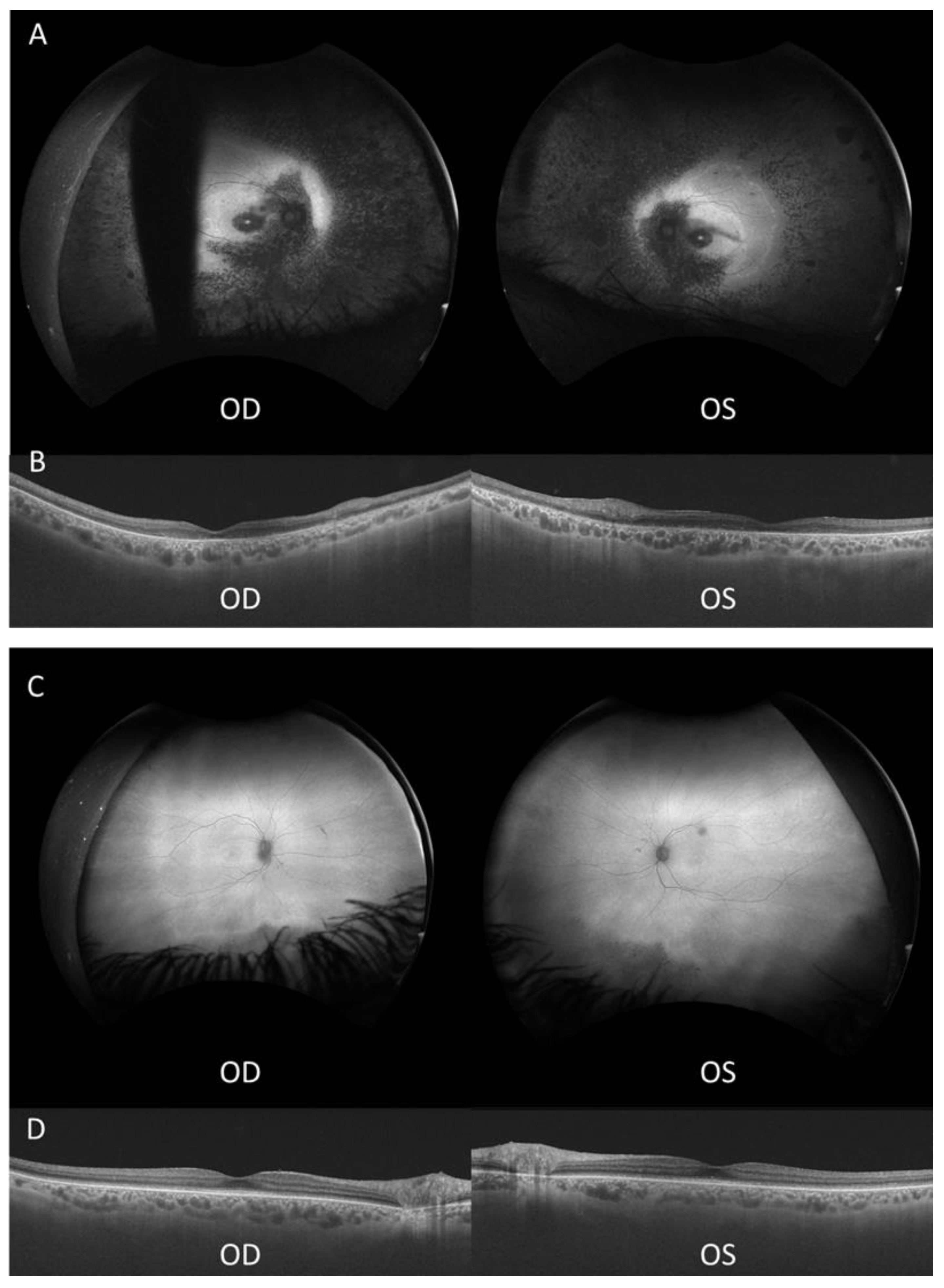 Preprints 137837 g002