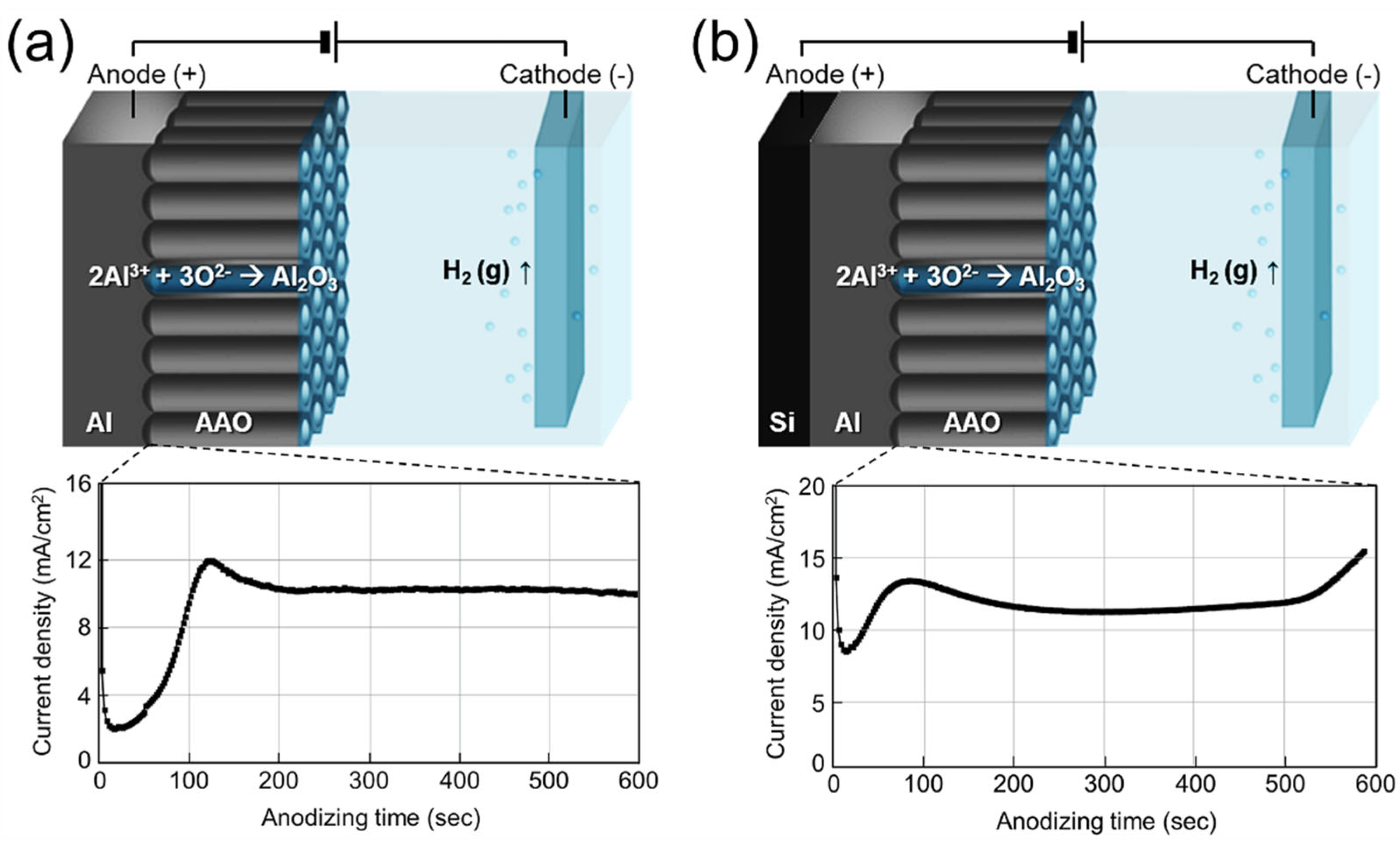 Preprints 177836 g002