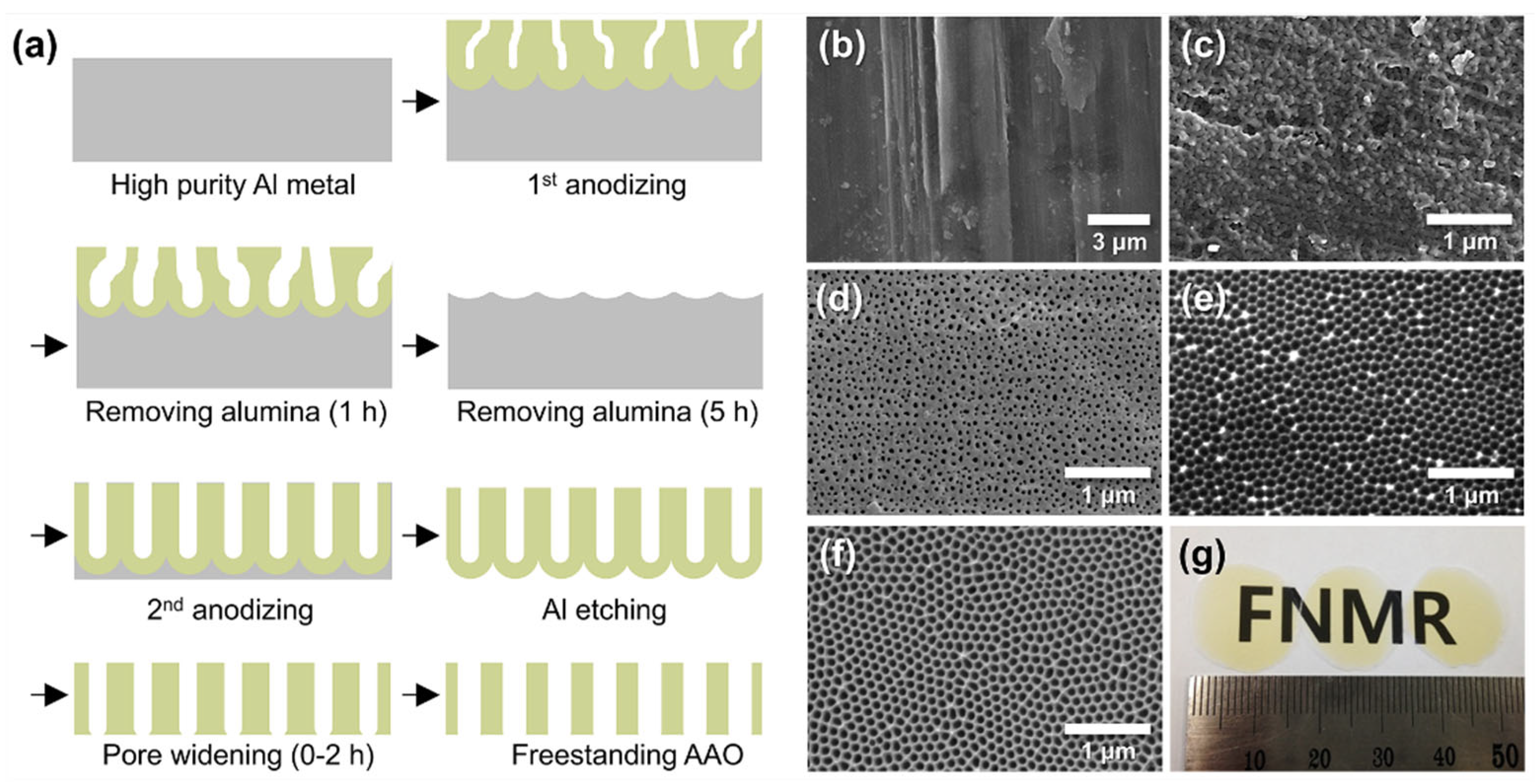 Preprints 177836 g003