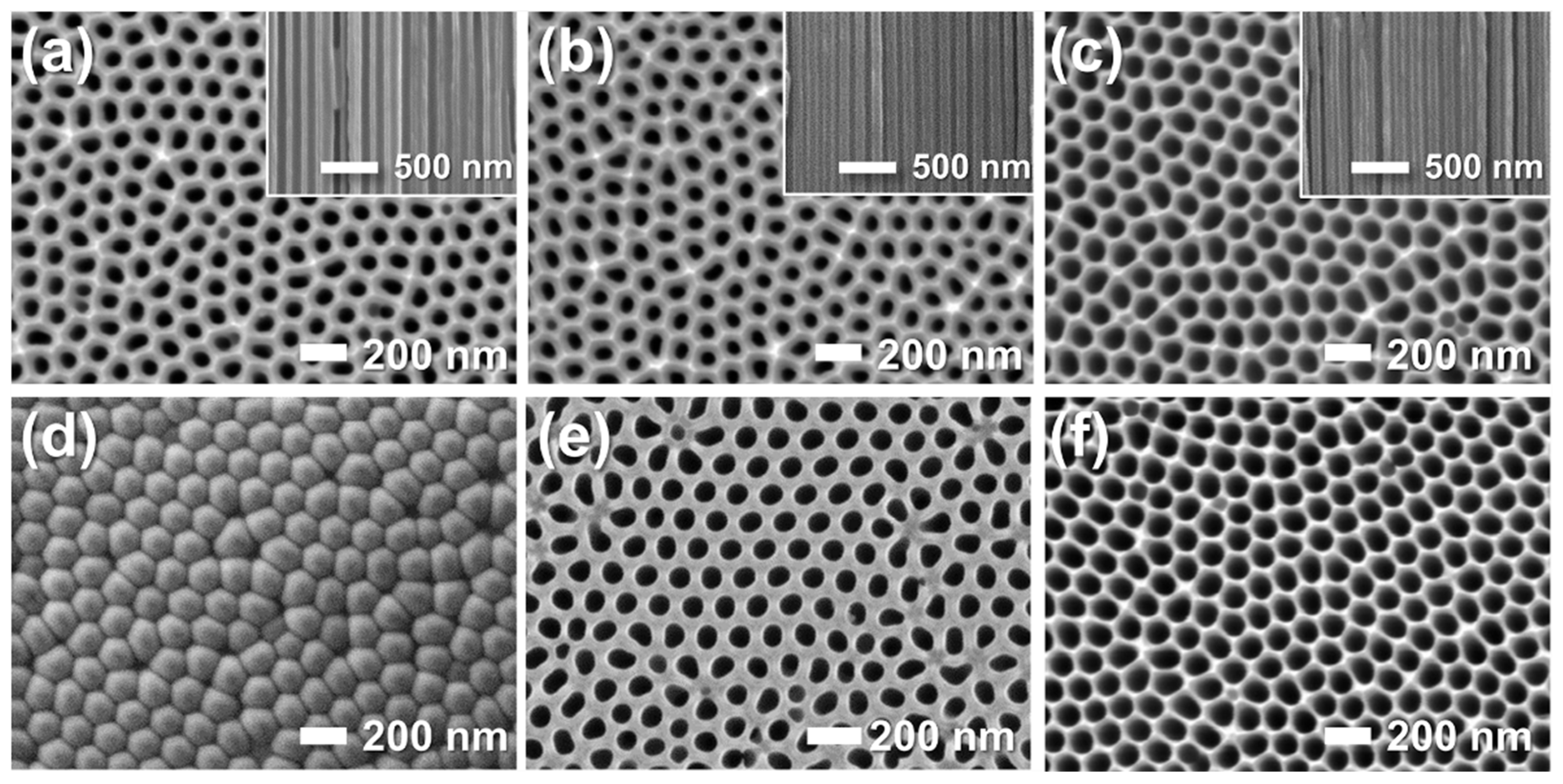 Preprints 177836 g004