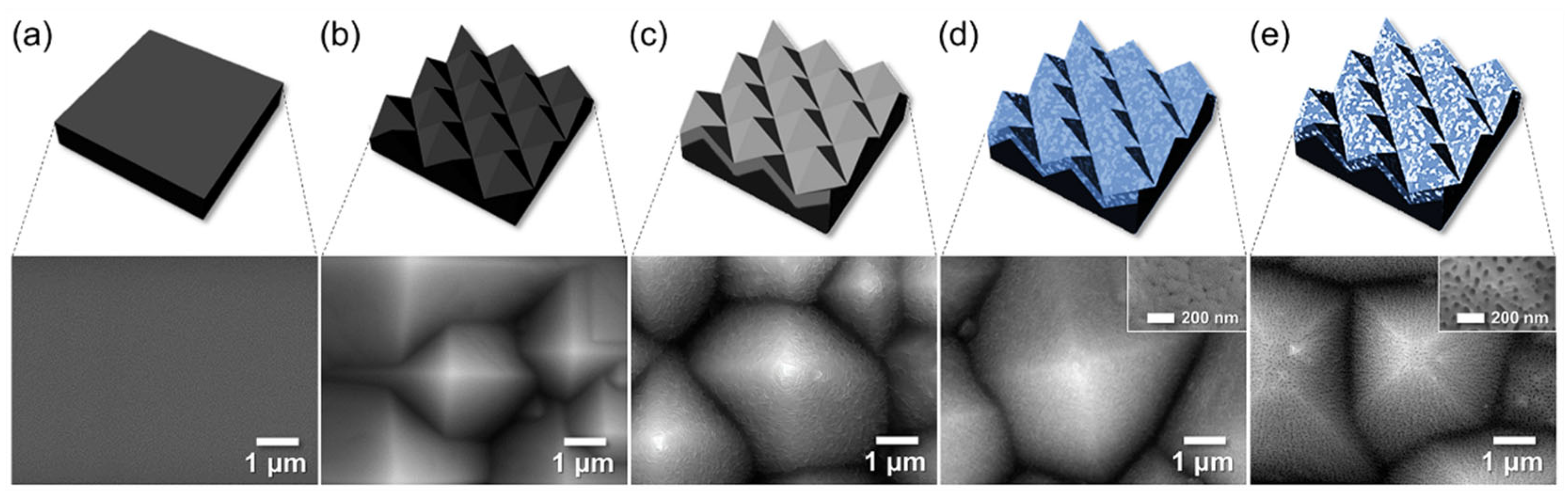 Preprints 177836 g007