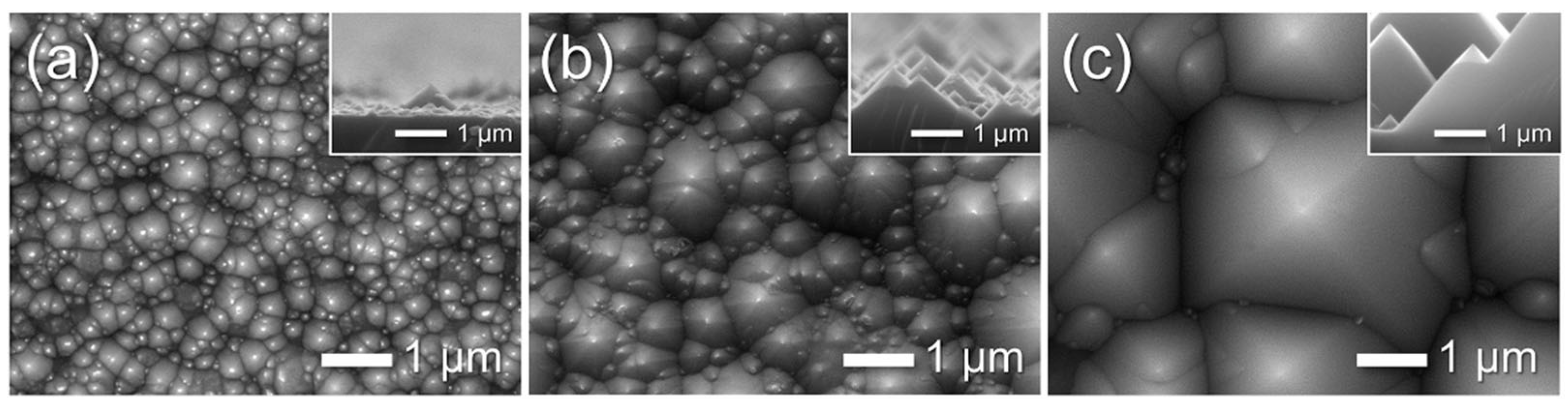 Preprints 177836 g008