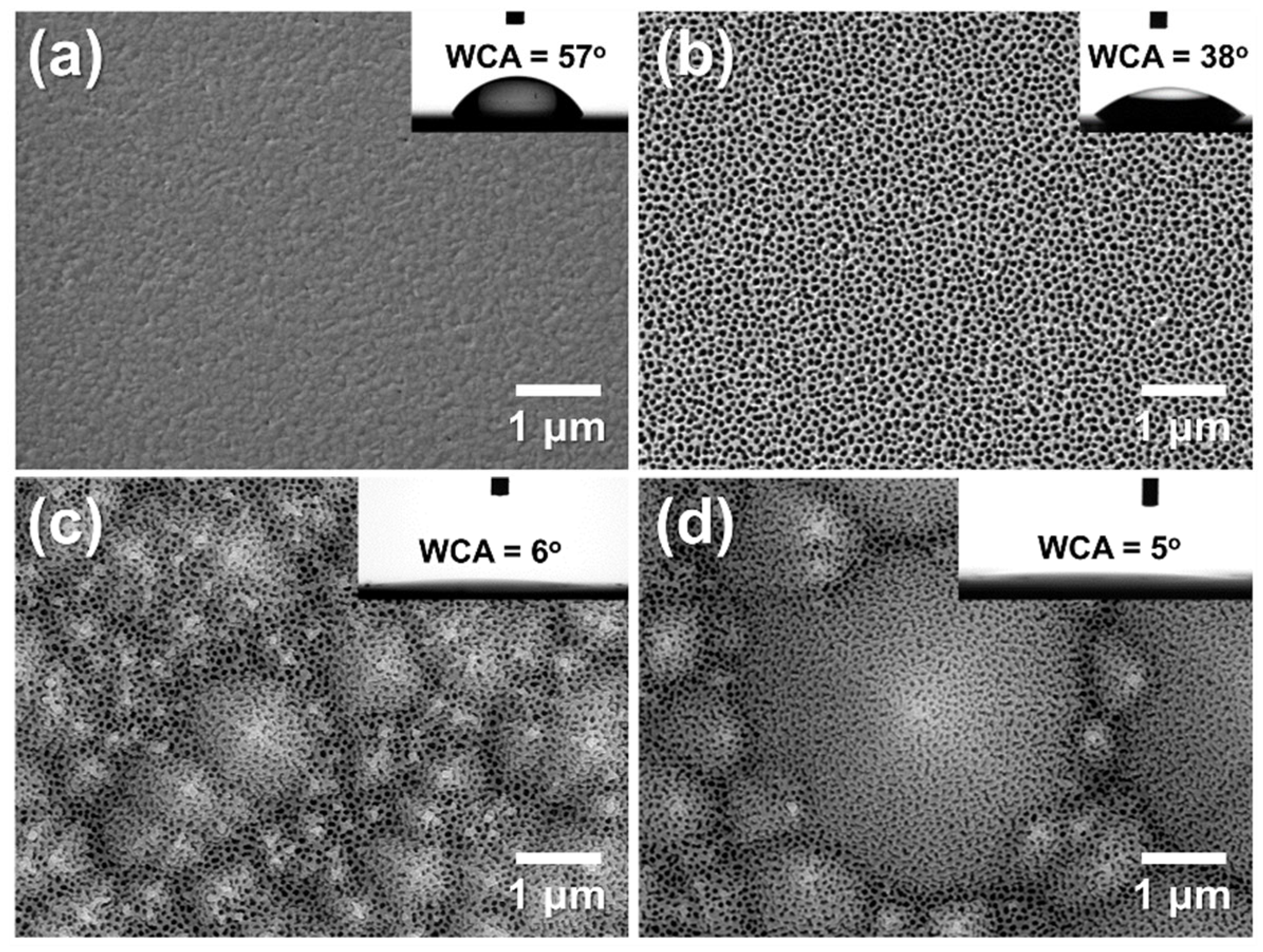 Preprints 177836 g011