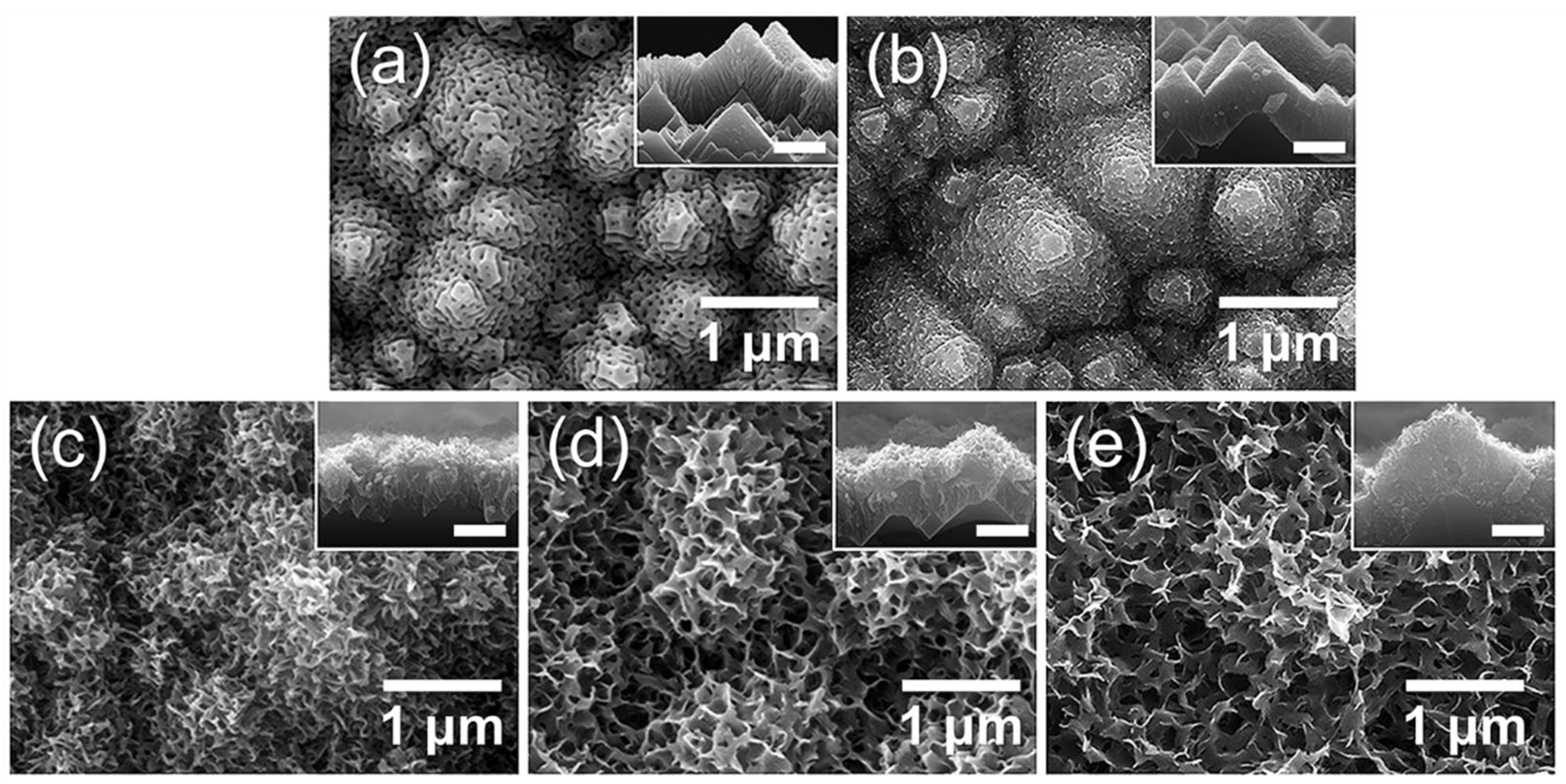 Preprints 177836 g014
