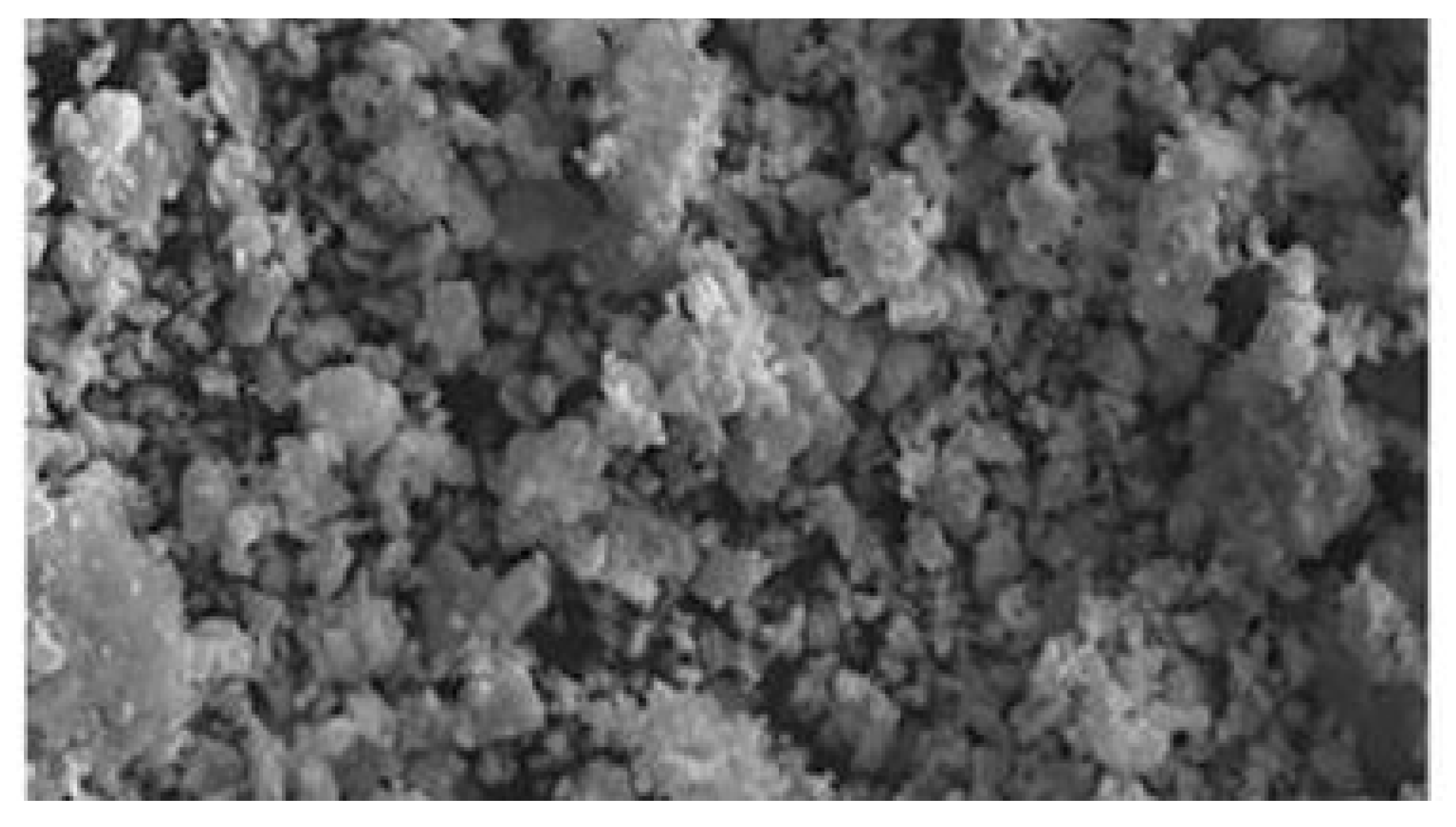 Preprints 141078 g007