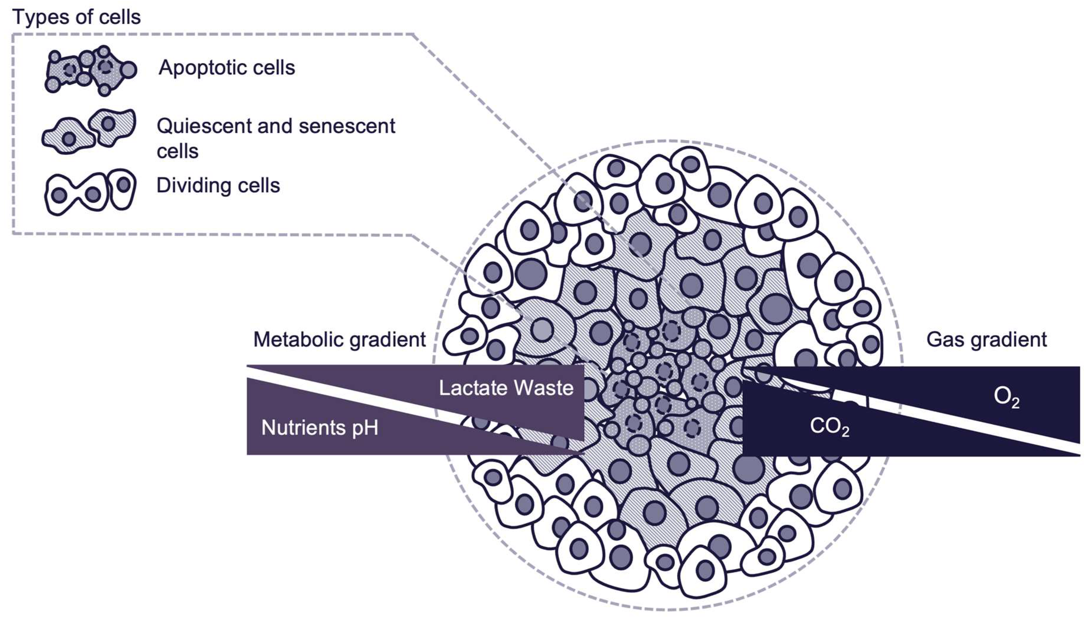 Preprints 155107 g001