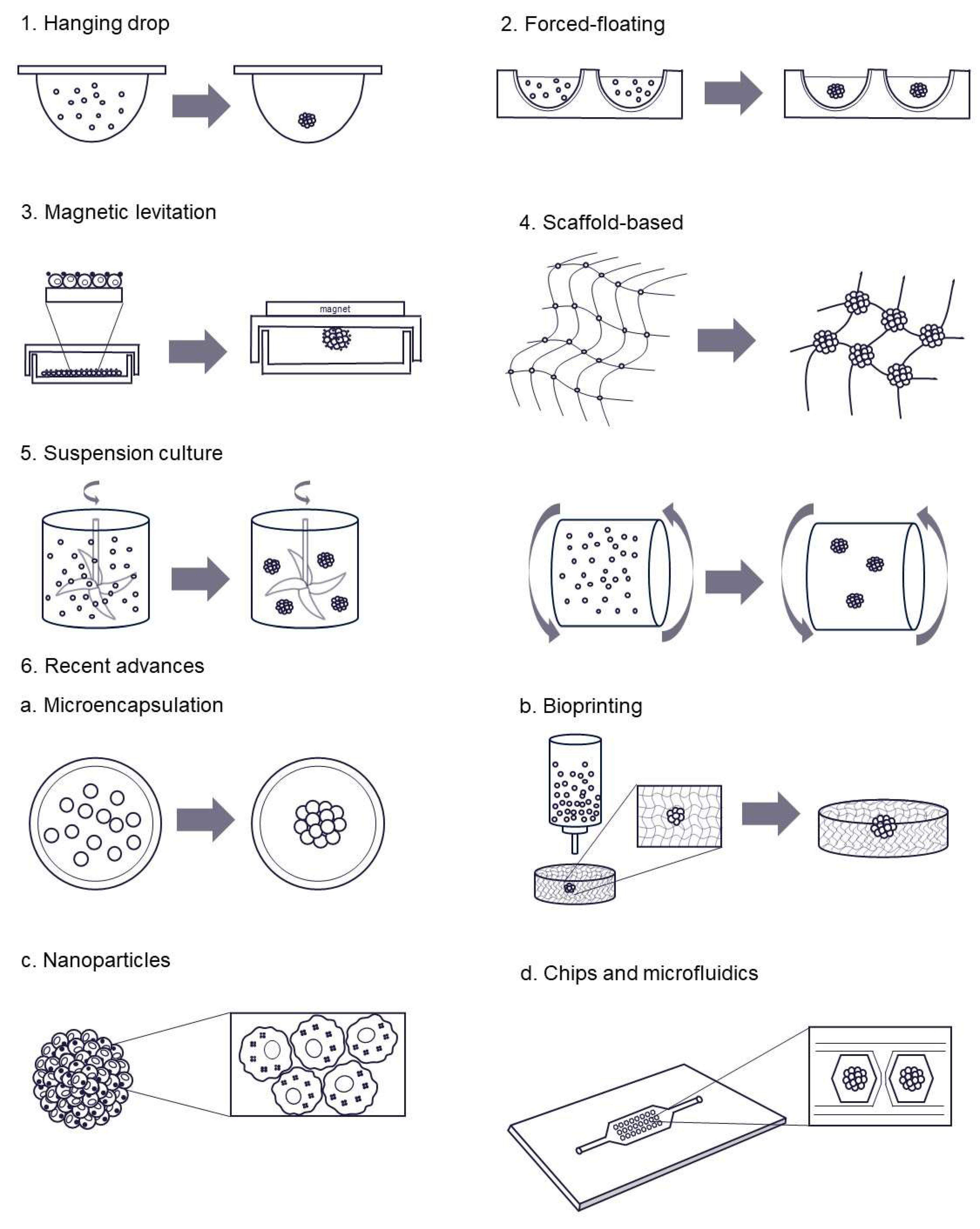 Preprints 155107 g005
