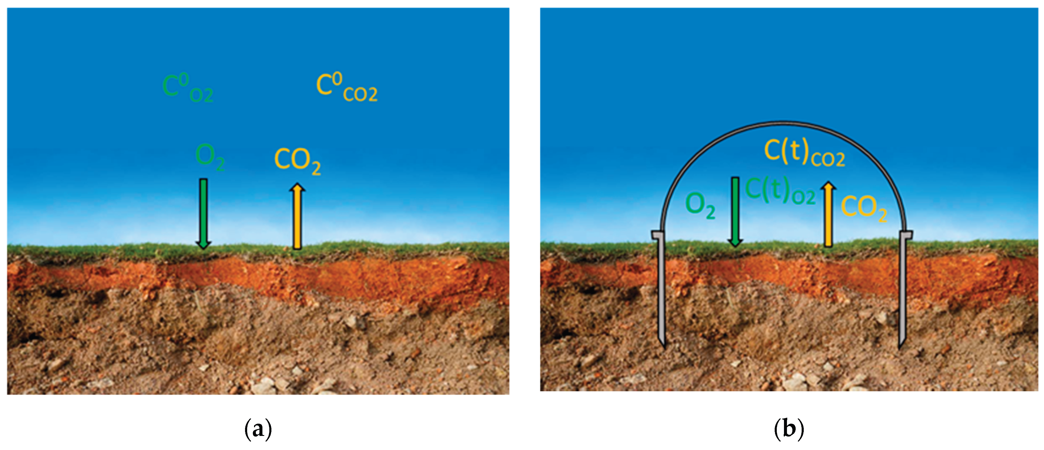 Preprints 194986 g001