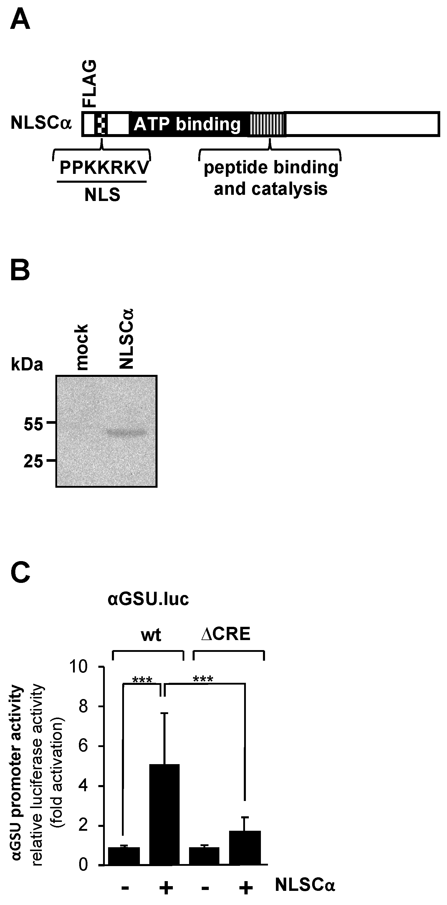 Preprints 95136 g003