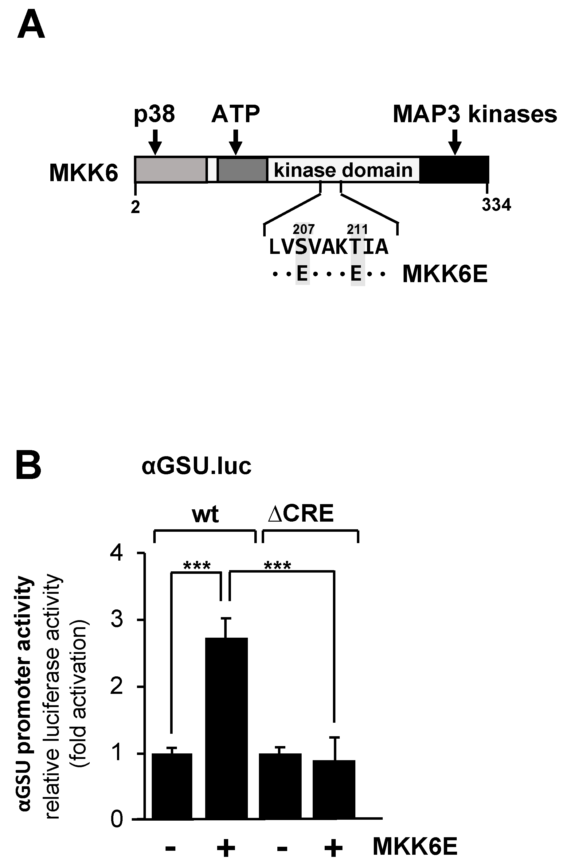 Preprints 95136 g004