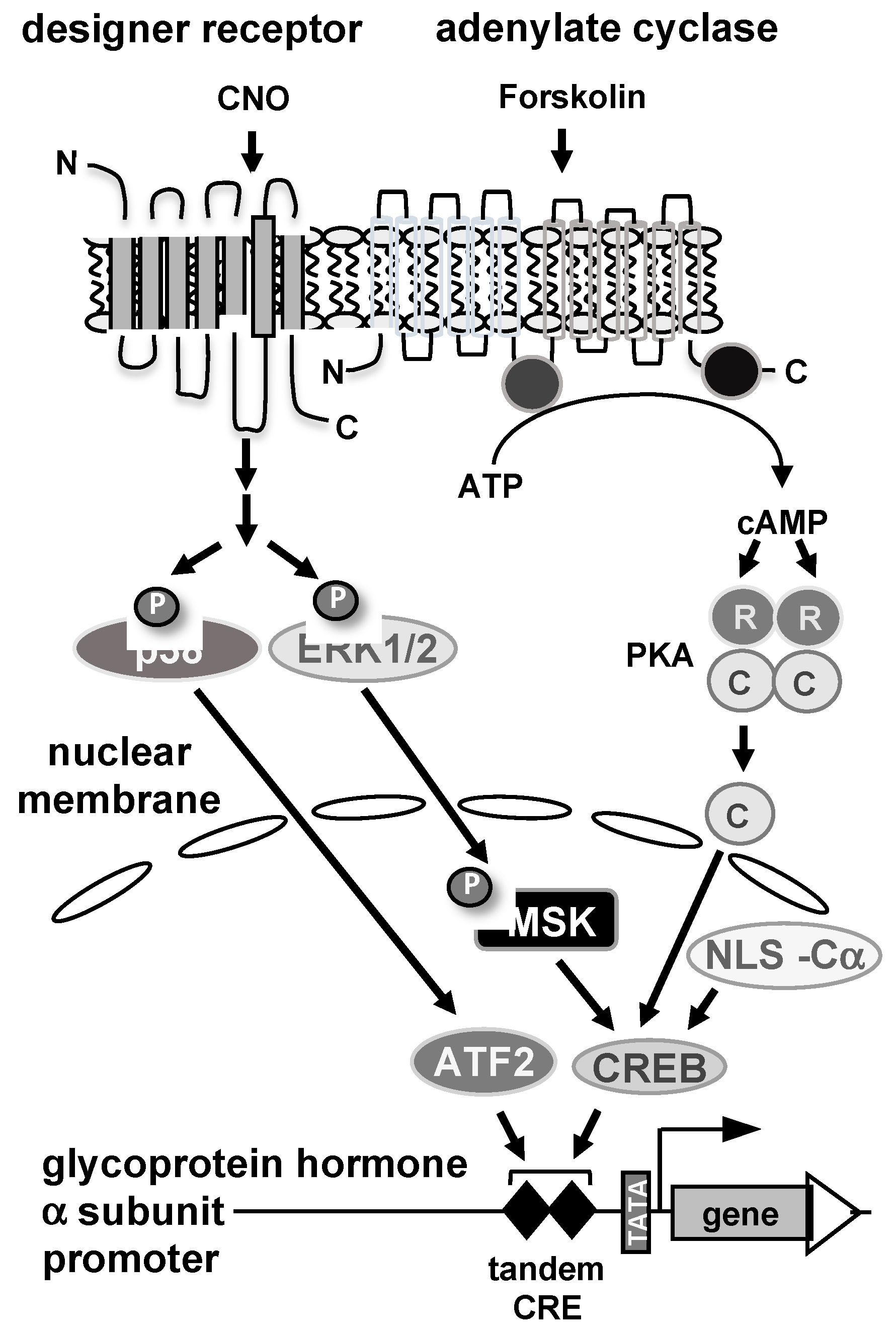 Preprints 95136 g008