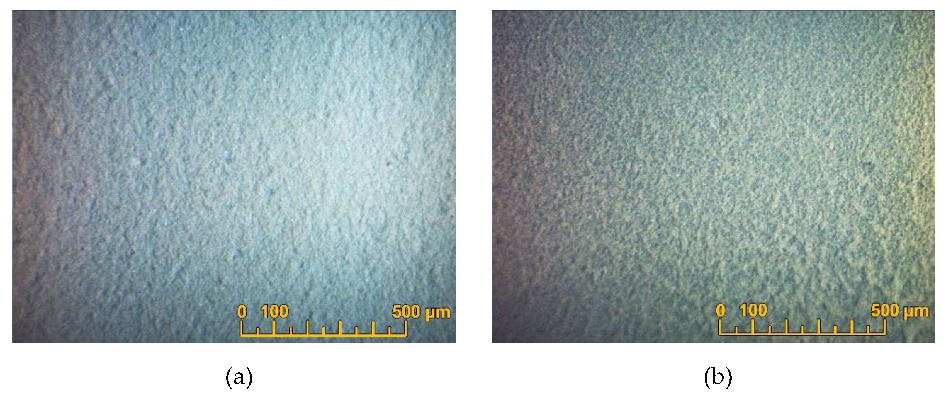 Preprints 73421 g006