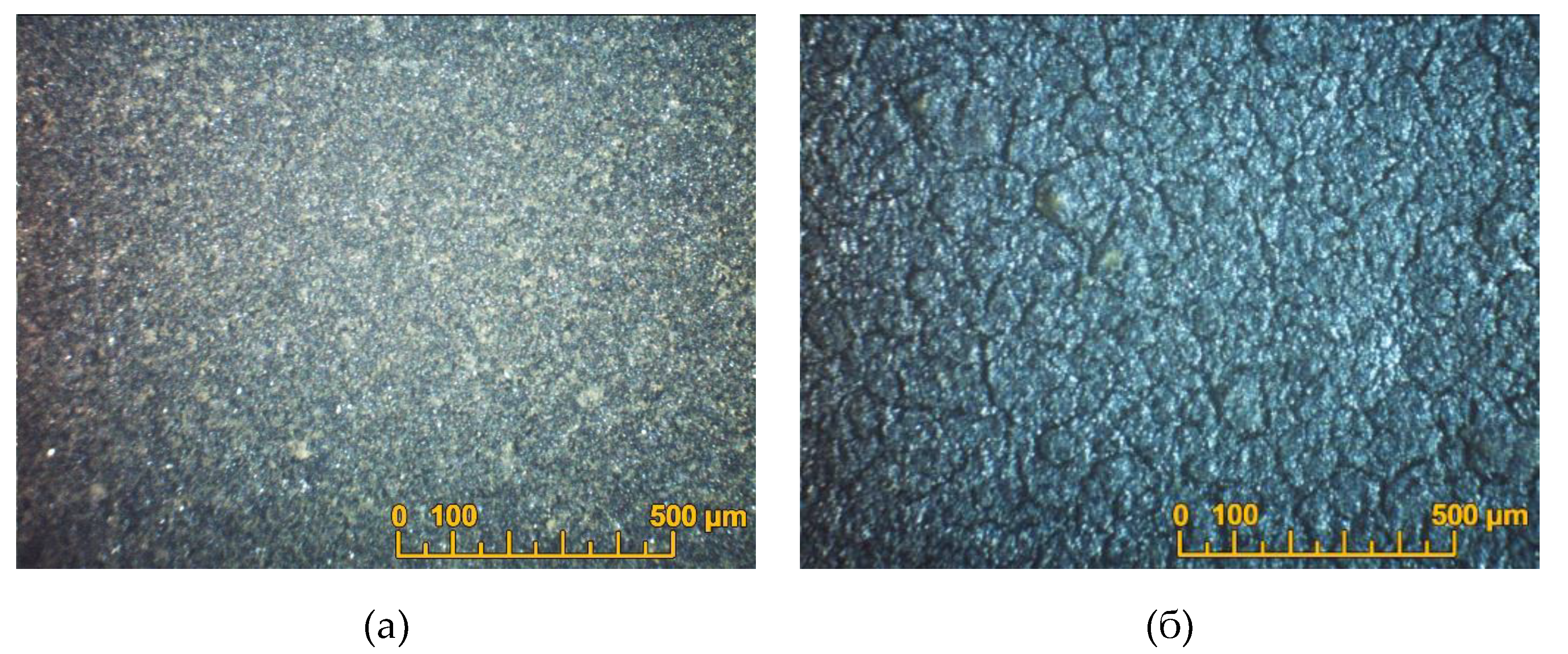 Preprints 73421 g007