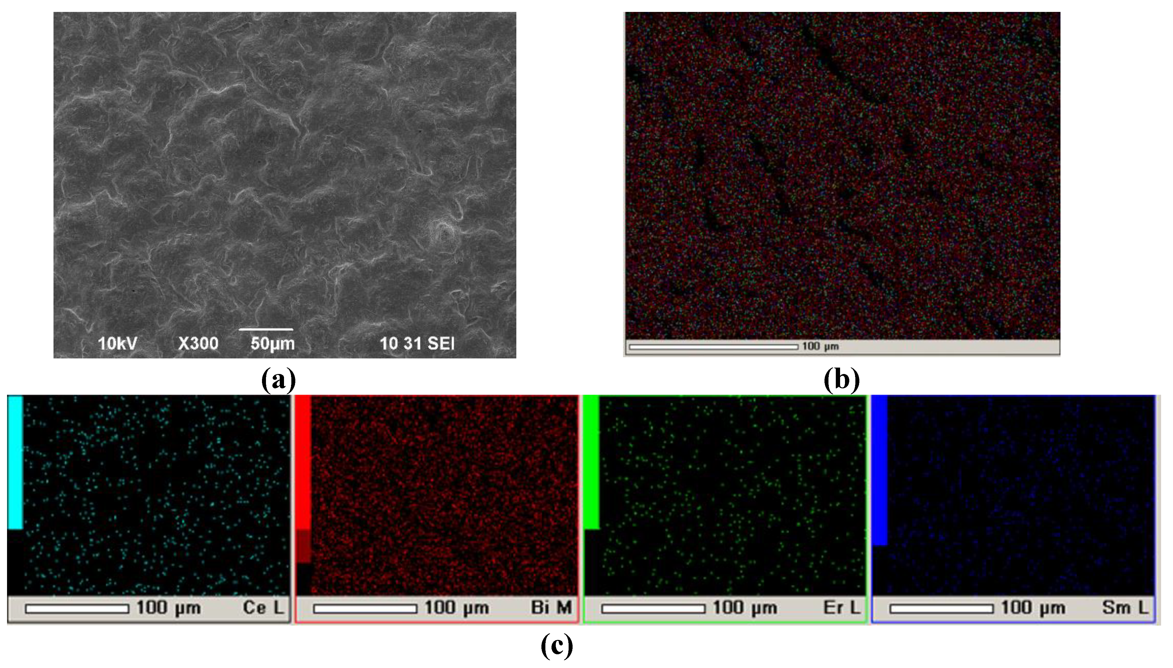 Preprints 73421 g009