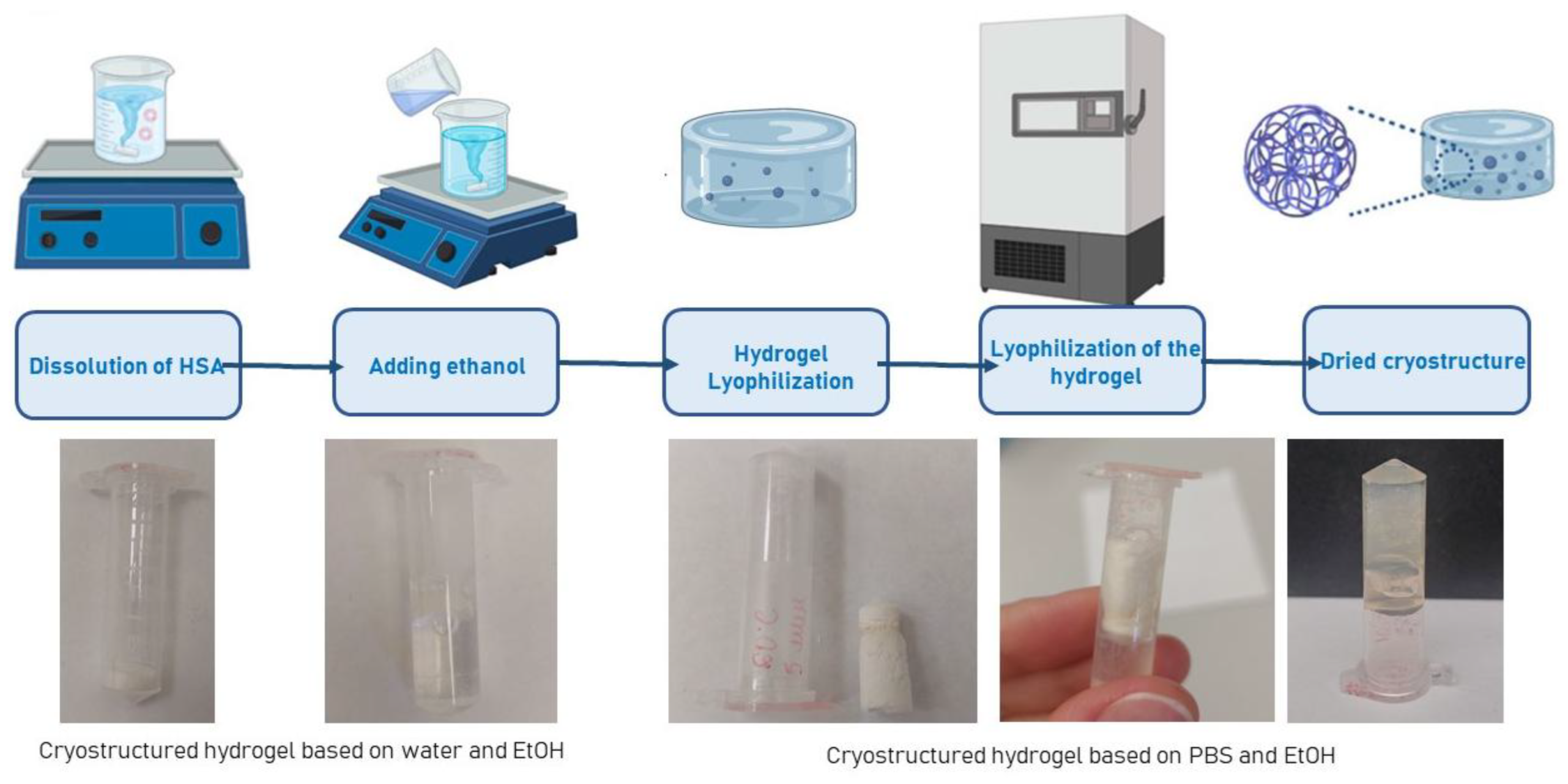 Preprints 189212 g006