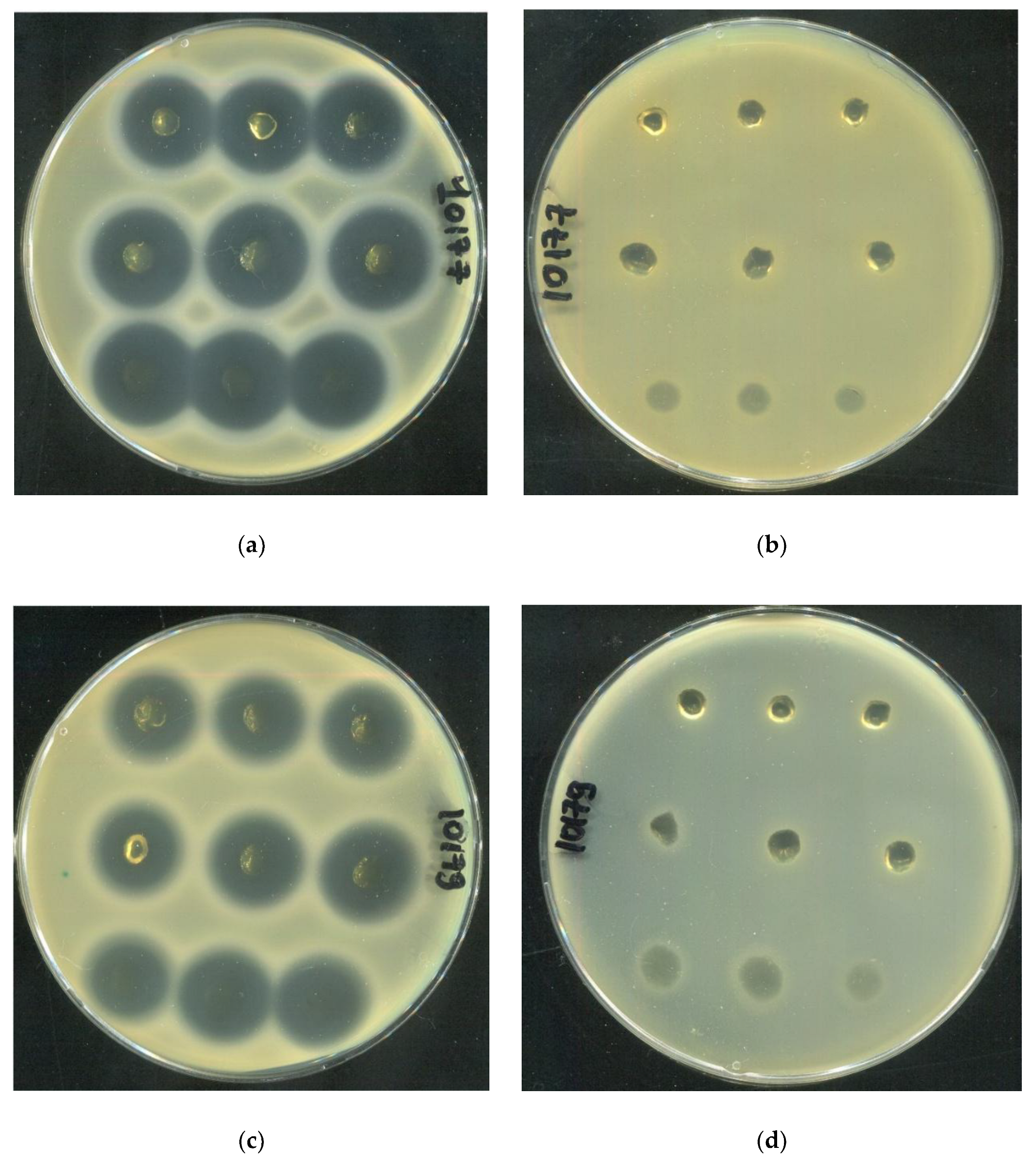 Preprints 189212 g016a