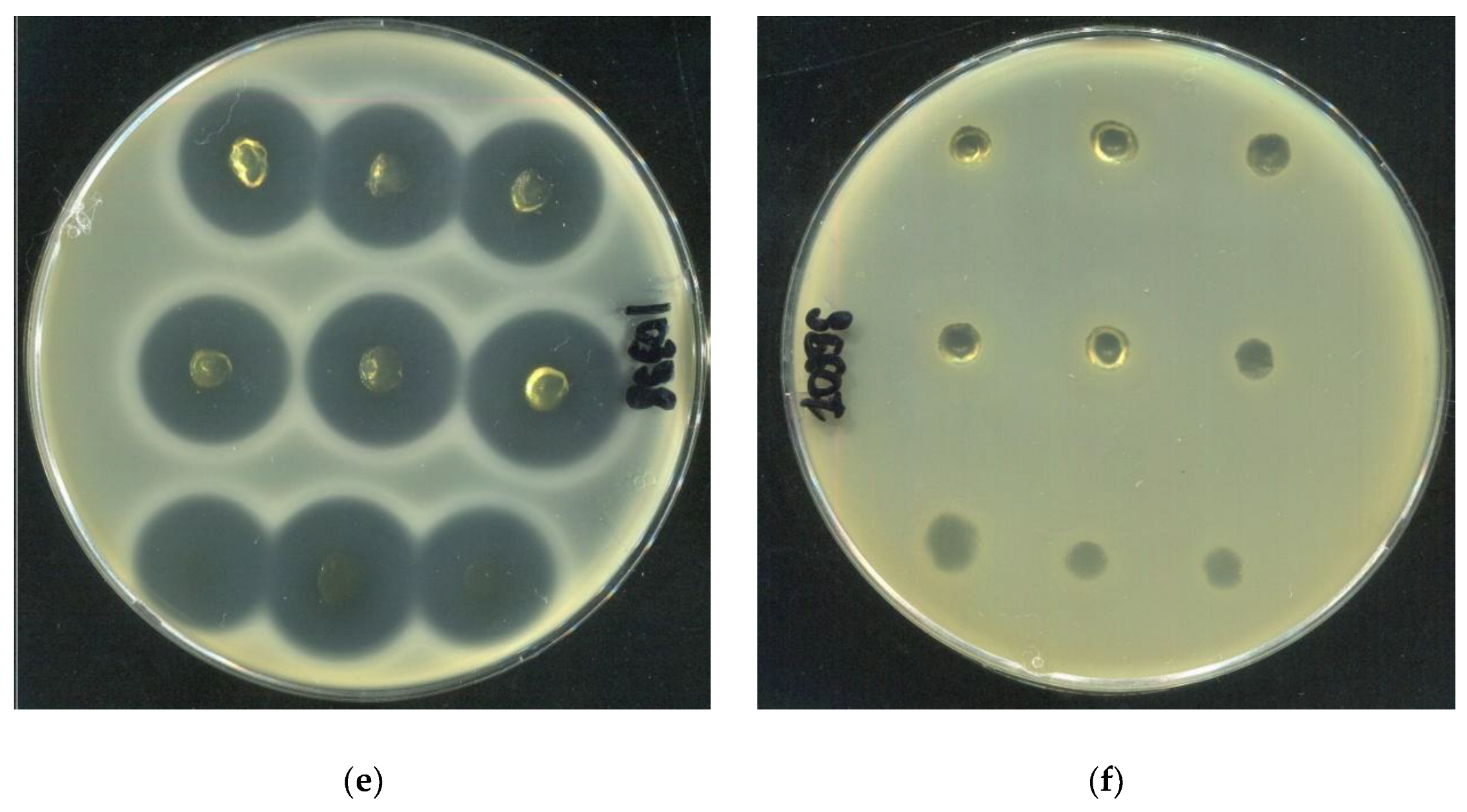 Preprints 189212 g016b
