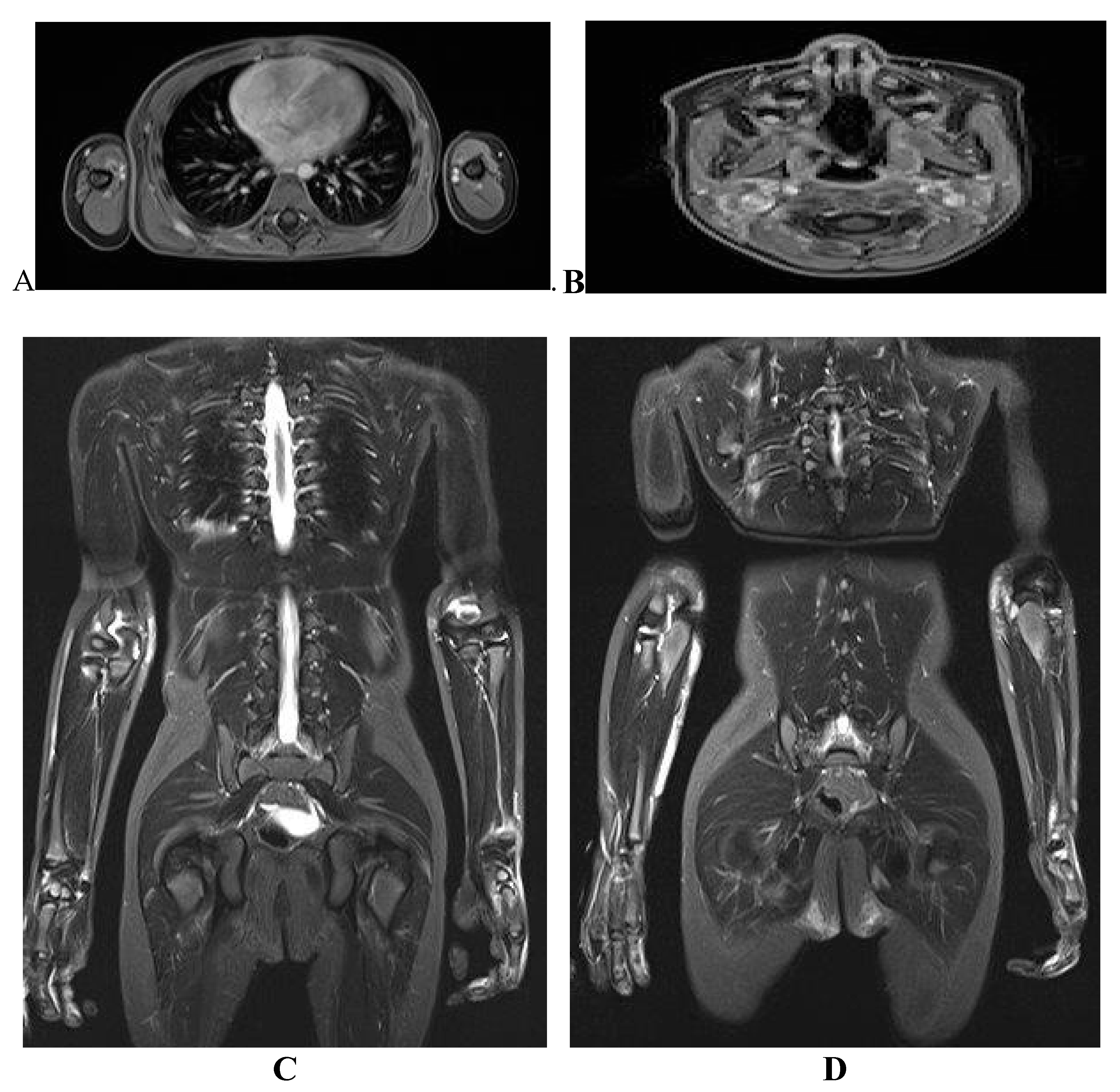 Preprints 189862 g002